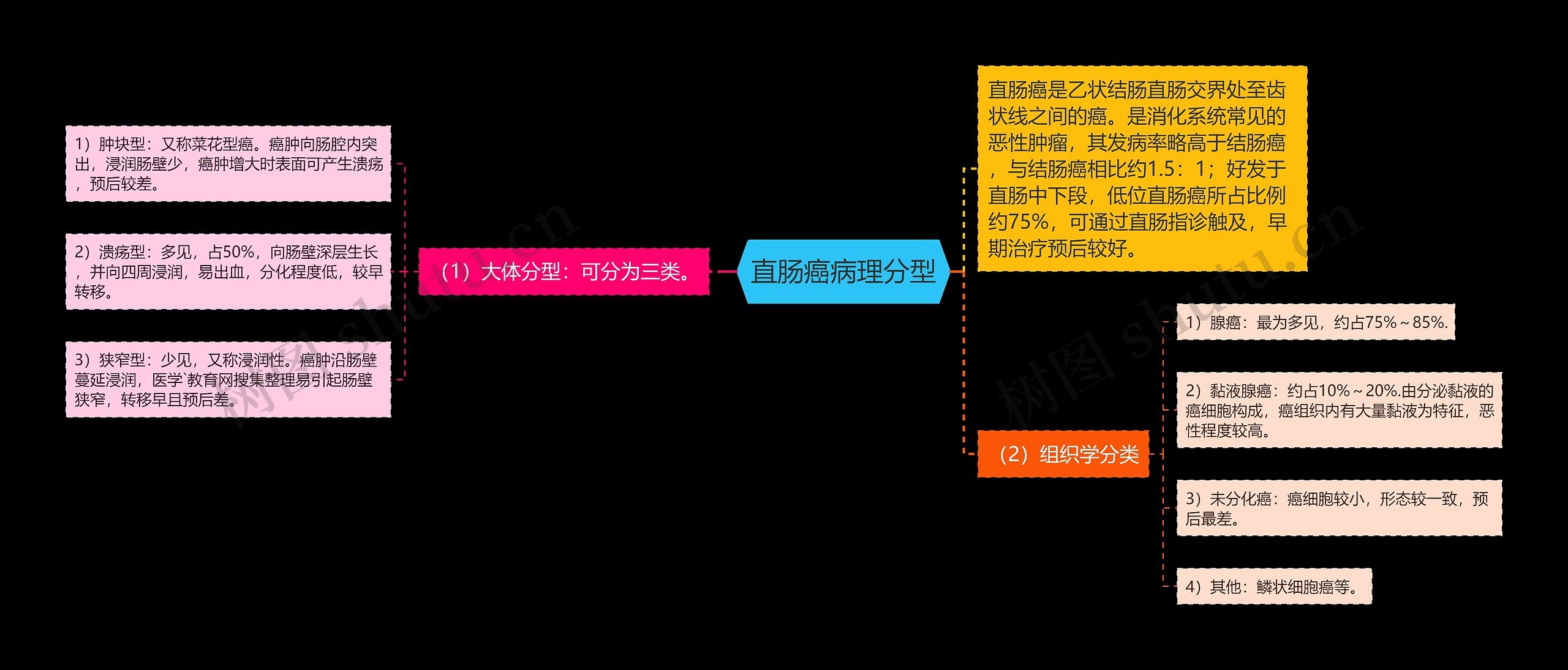 直肠癌病理分型思维导图