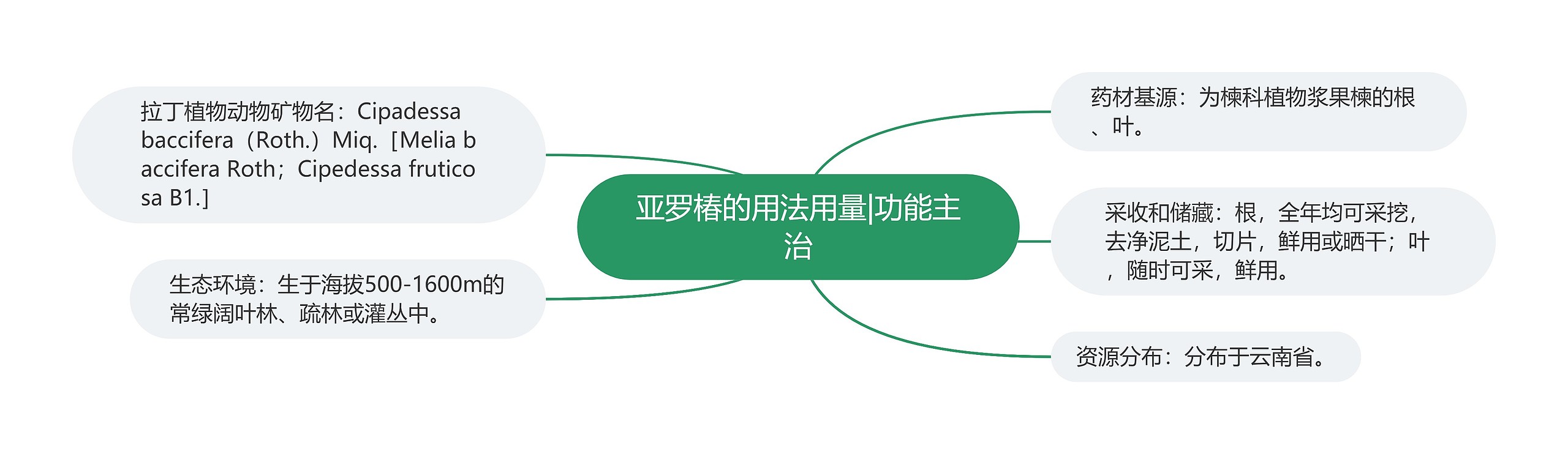 亚罗椿的用法用量|功能主治思维导图