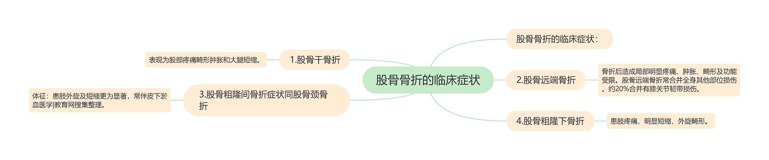 股骨骨折的临床症状思维导图