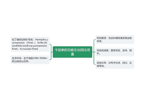 牛胆参的功能主治|用法用量