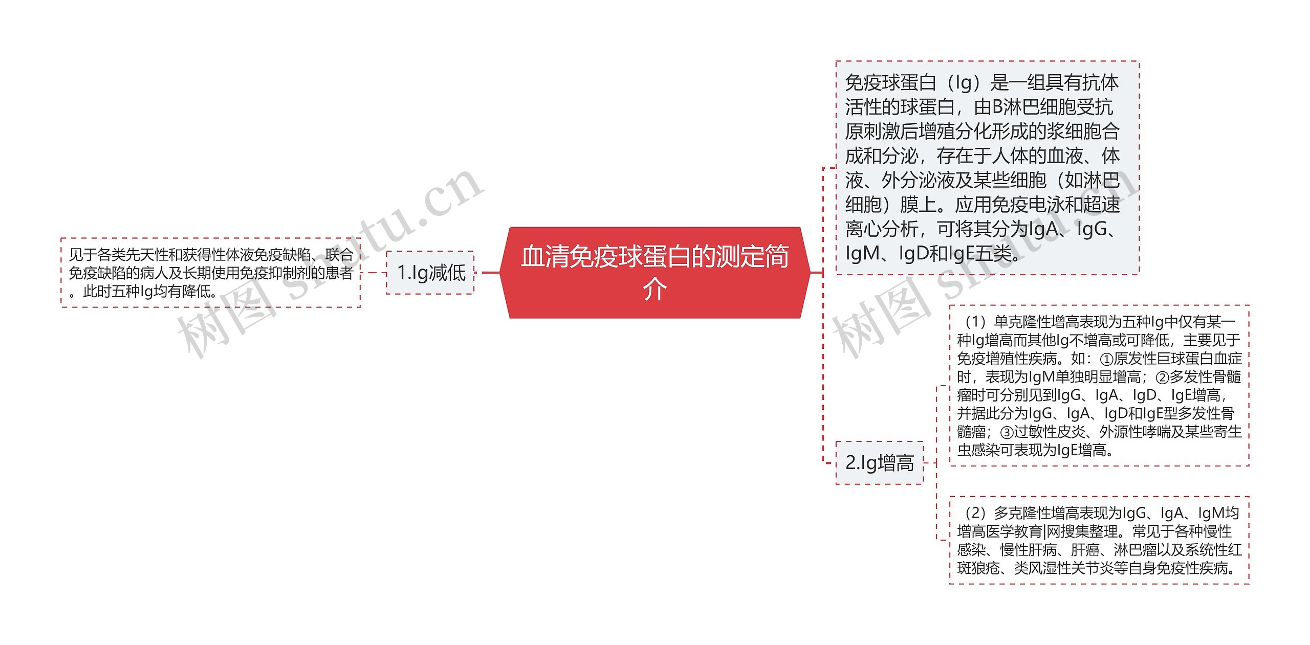 血清免疫球蛋白的测定简介思维导图