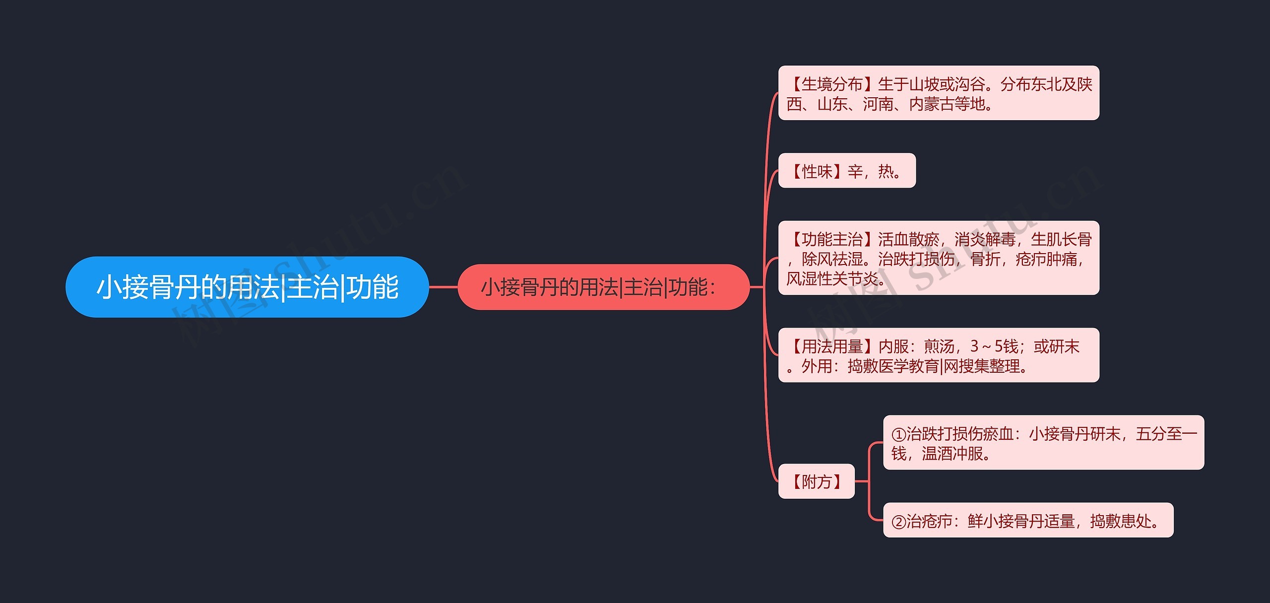 小接骨丹的用法|主治|功能思维导图