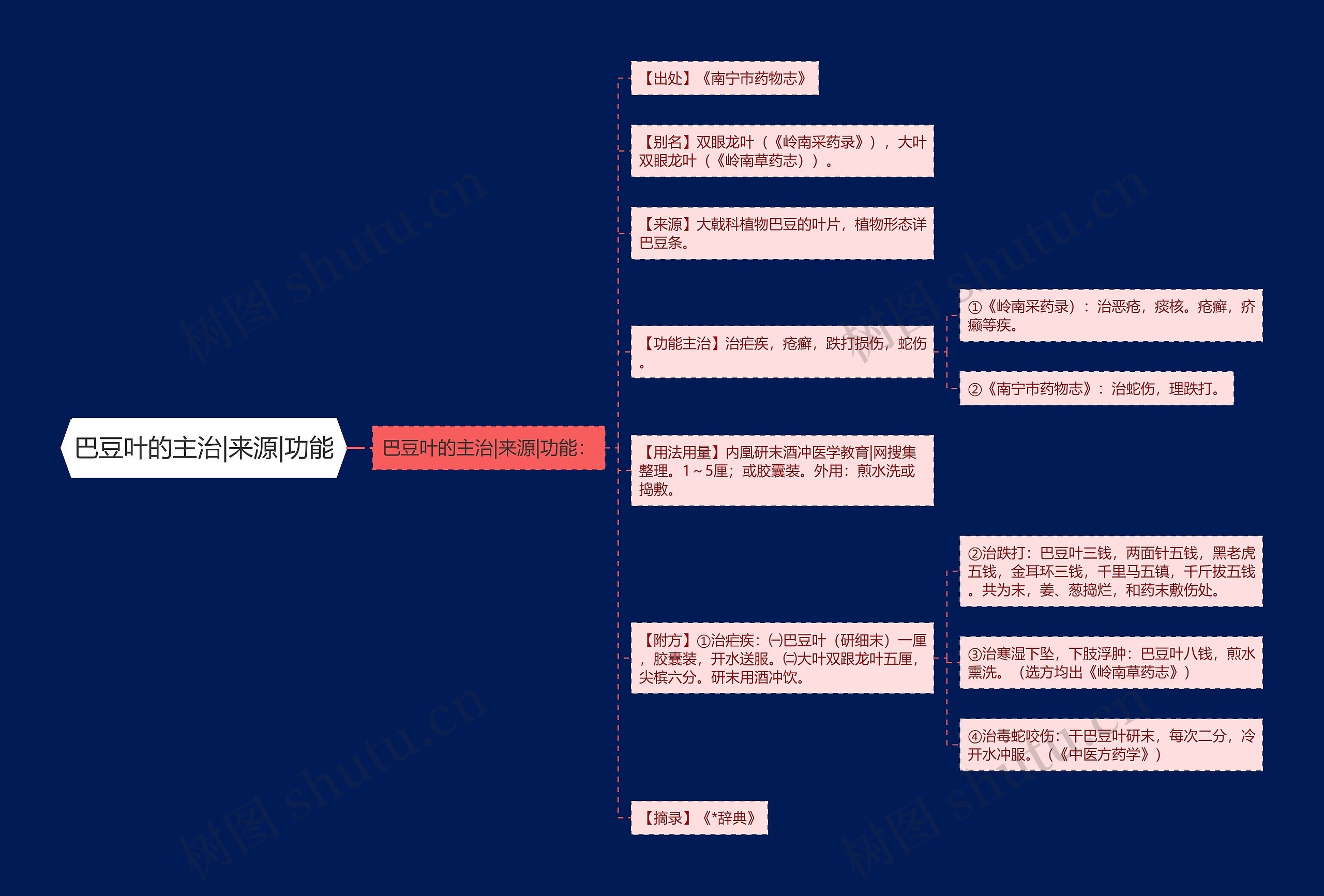 巴豆叶的主治|来源|功能思维导图