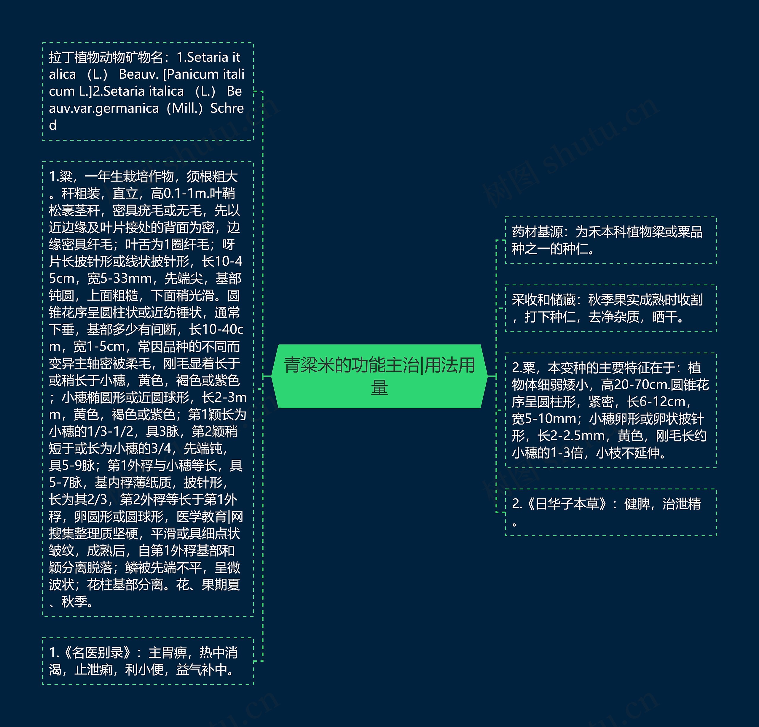 青粱米的功能主治|用法用量 青粱米的功能主治|用法用量