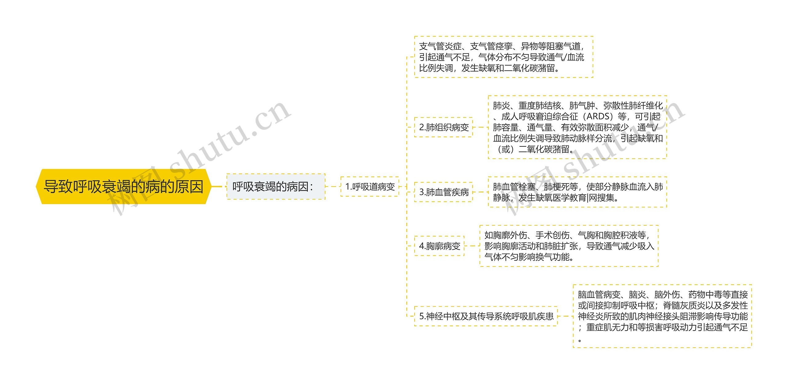 导致呼吸衰竭的病的原因