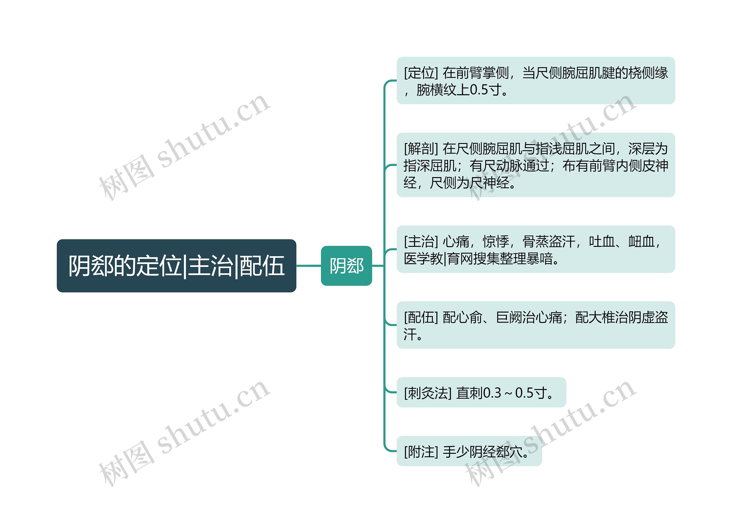 阴郄的定位|主治|配伍思维导图