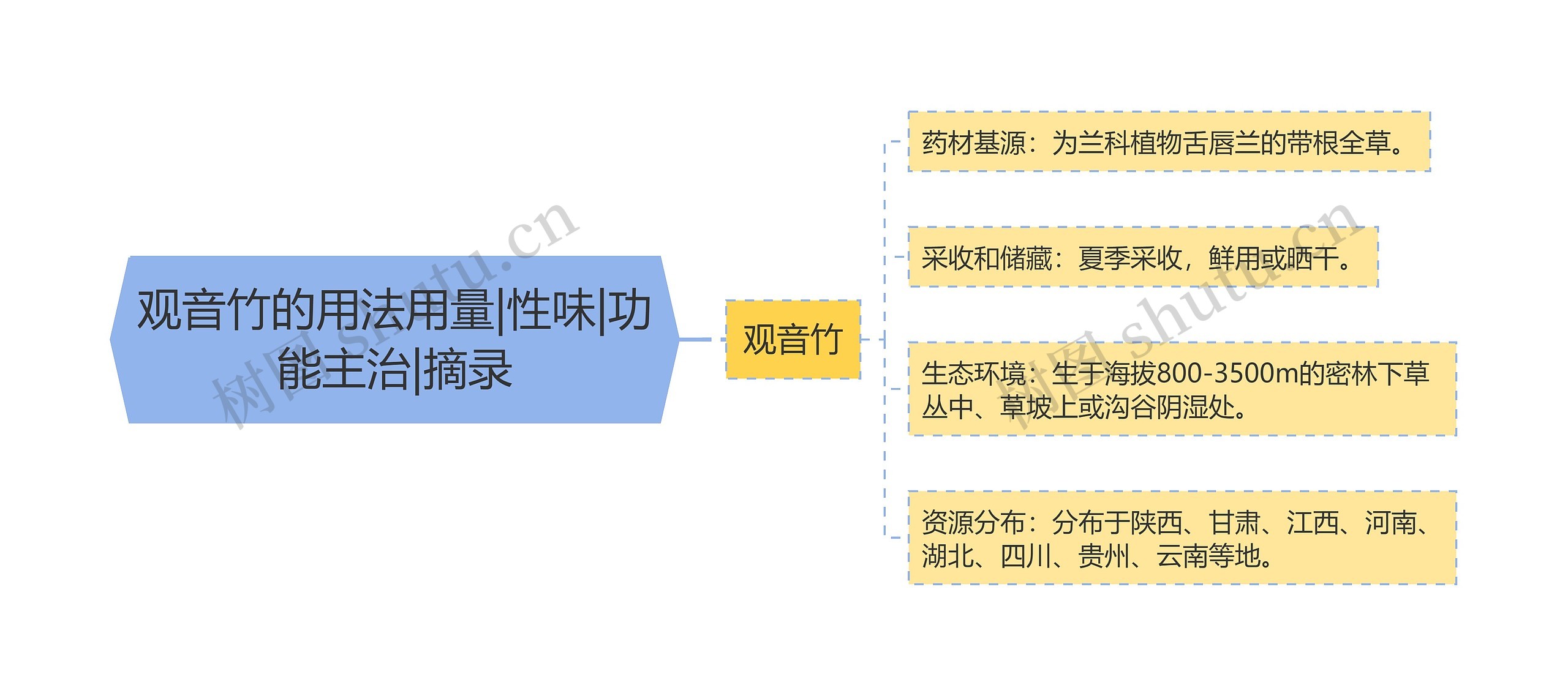 观音竹的用法用量|性味|功能主治|摘录思维导图