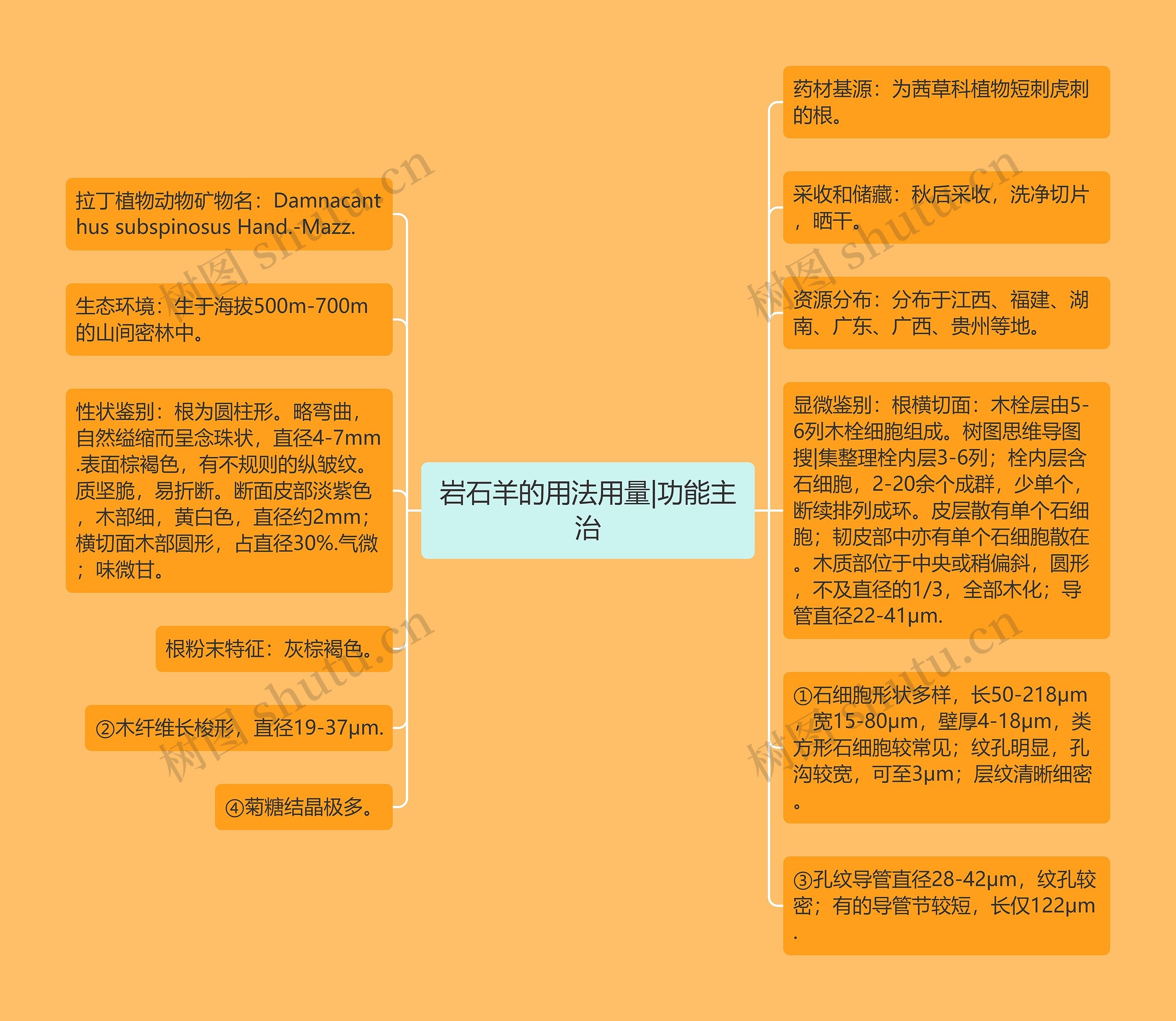 岩石羊的用法用量|功能主治