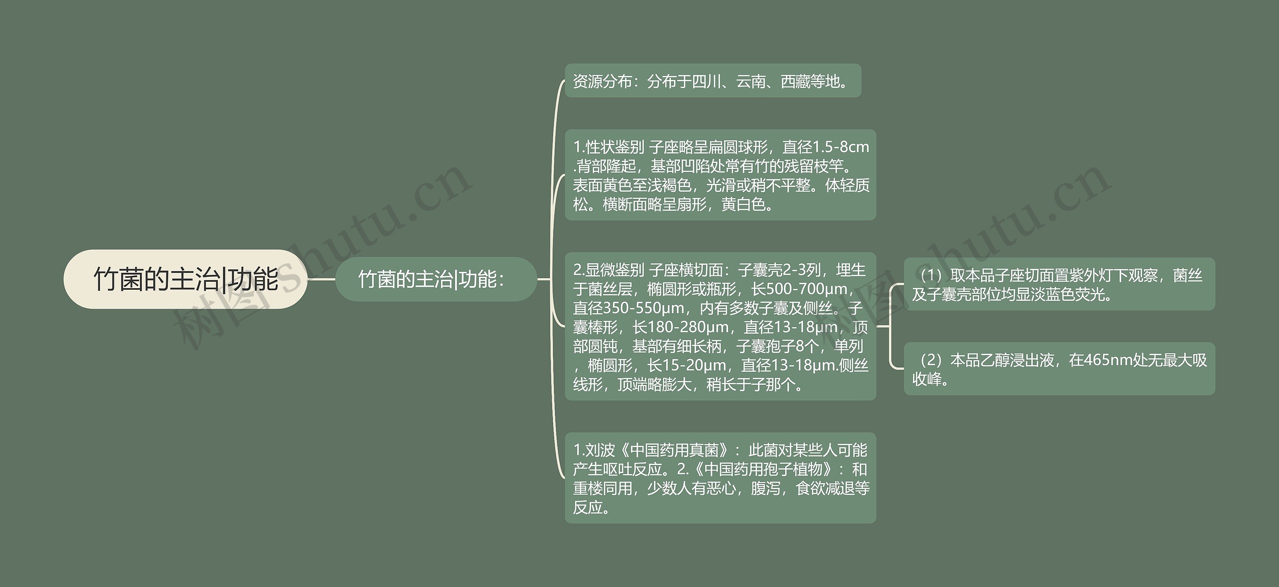 竹菌的主治|功能思维导图