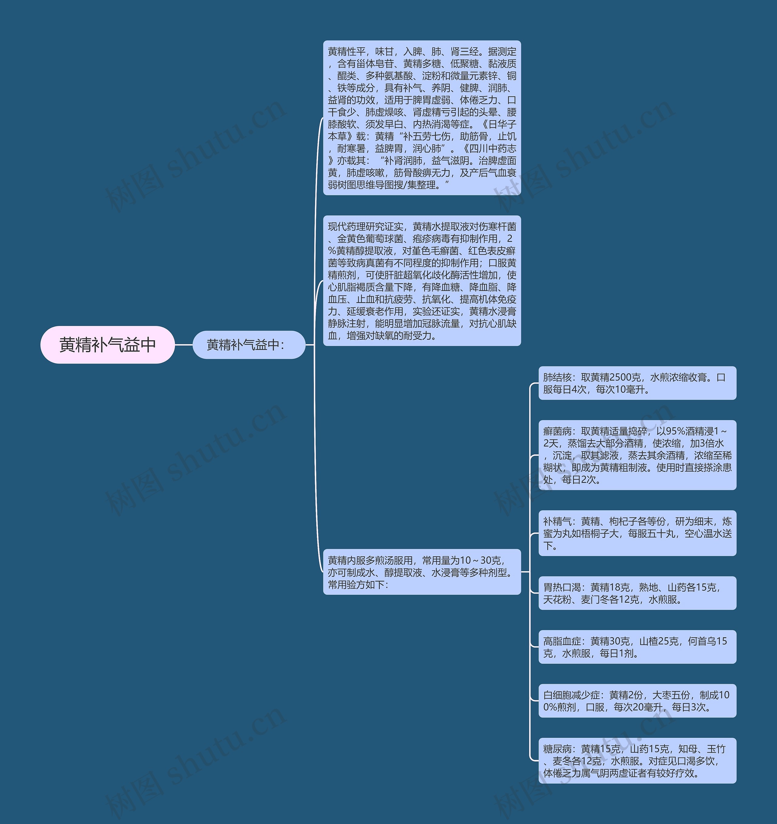 黄精补气益中思维导图