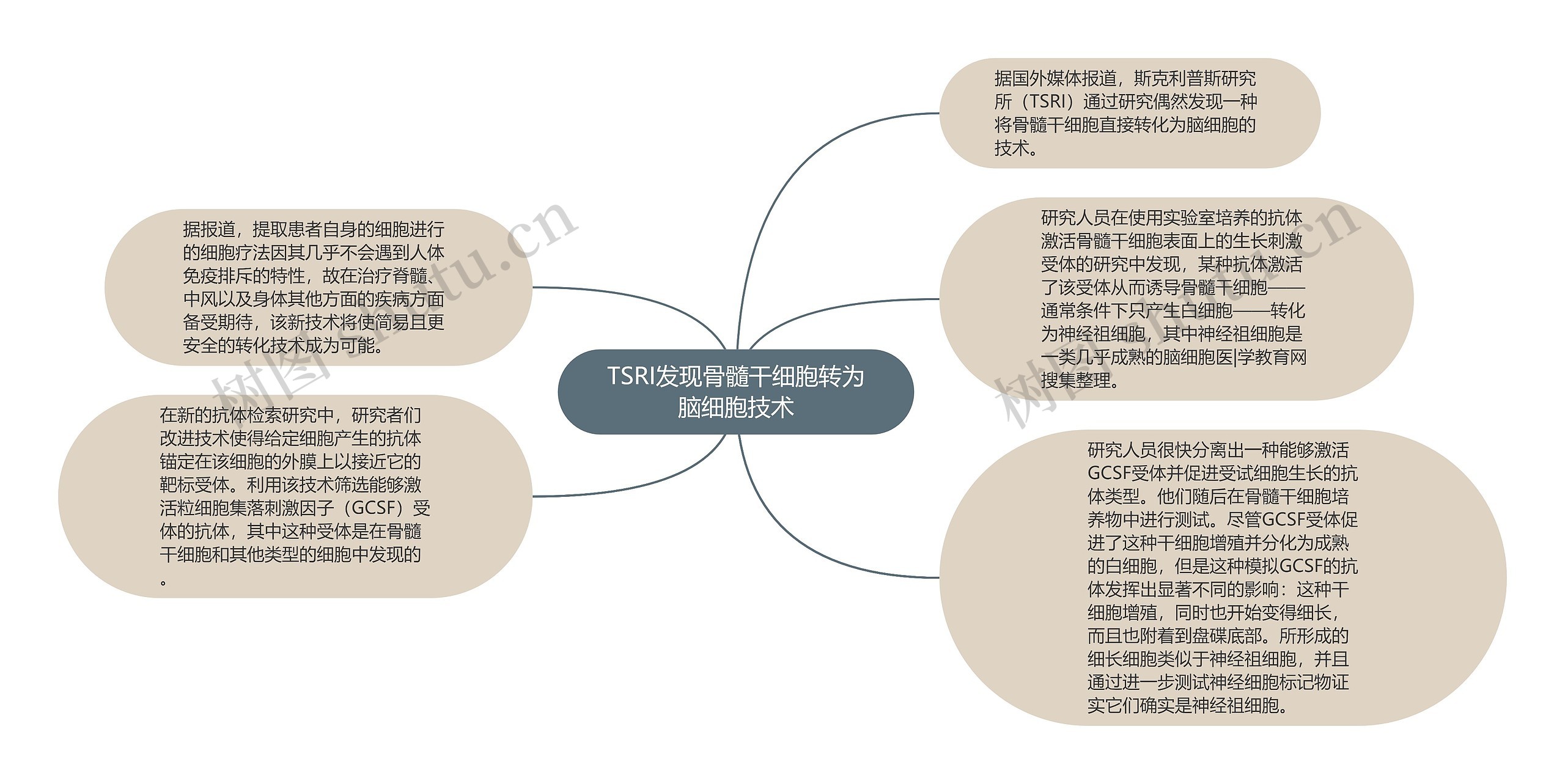 TSRI发现骨髓干细胞转为脑细胞技术思维导图