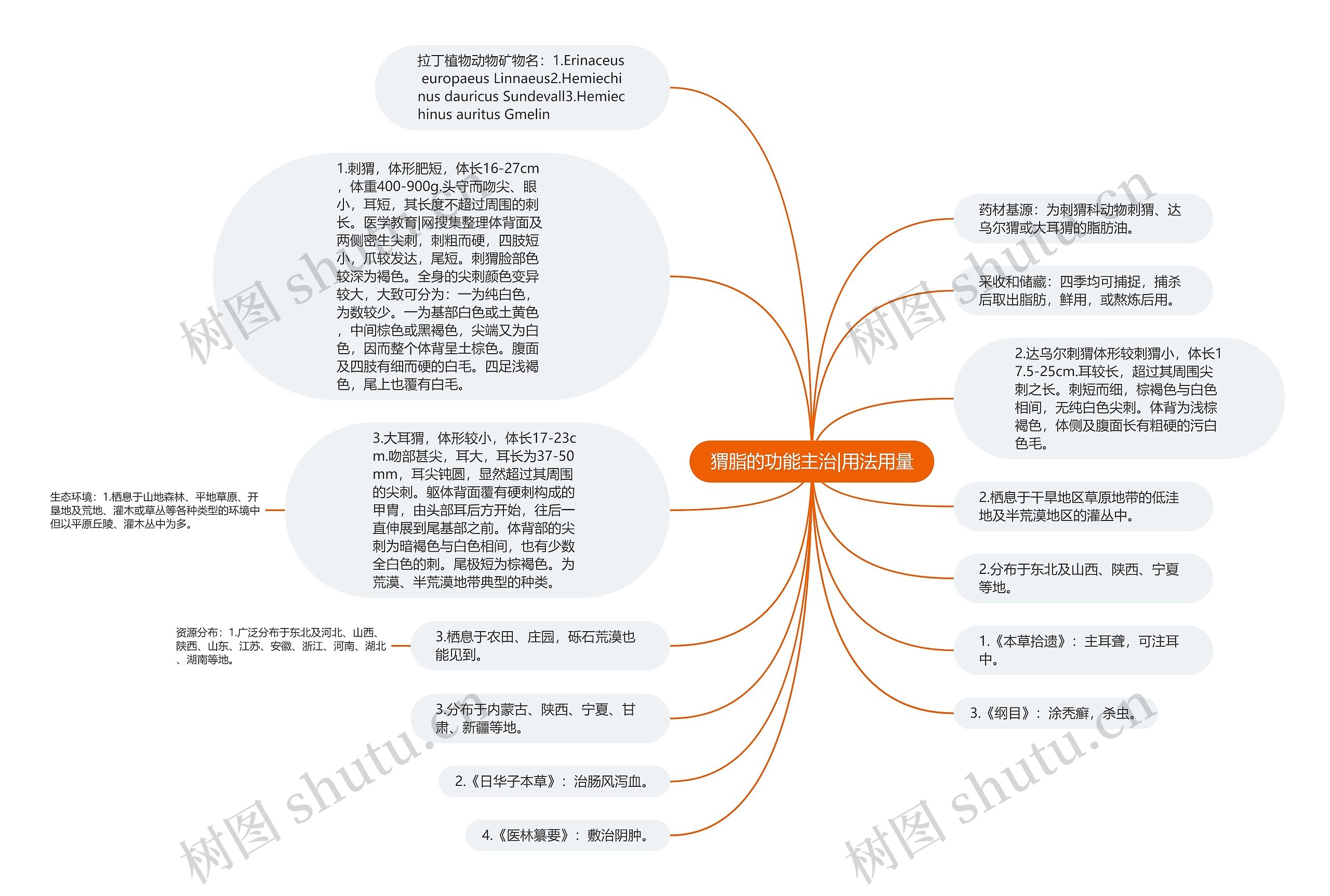 猬脂的功能主治|用法用量思维导图