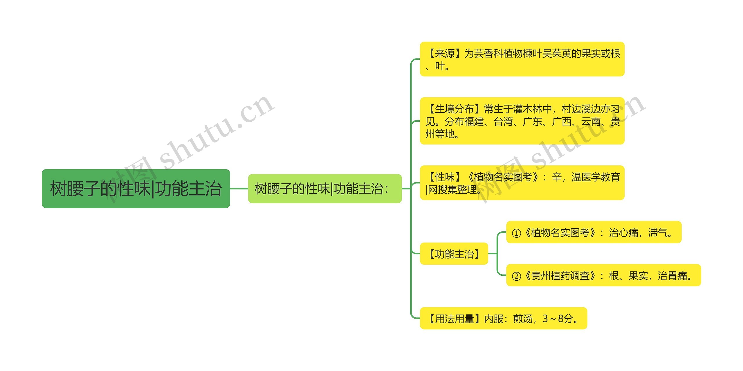 树腰子的性味|功能主治