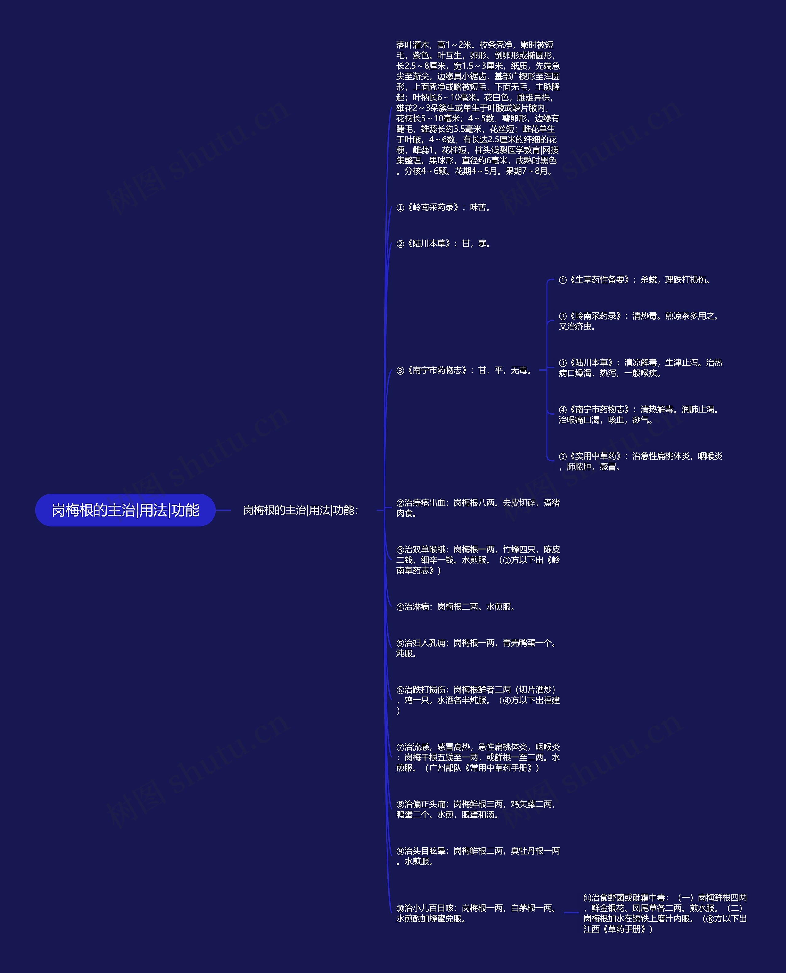岗梅根的主治|用法|功能思维导图