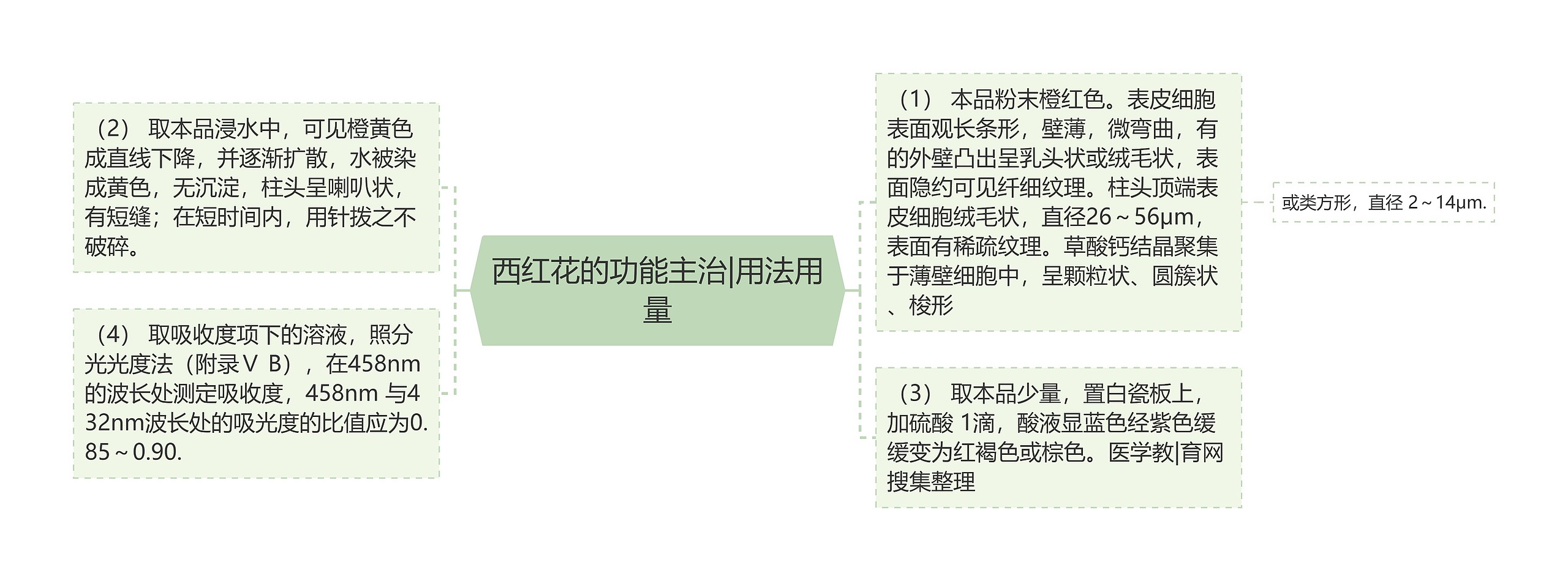 西红花的功能主治|用法用量 西红花的功能主治|用法用量