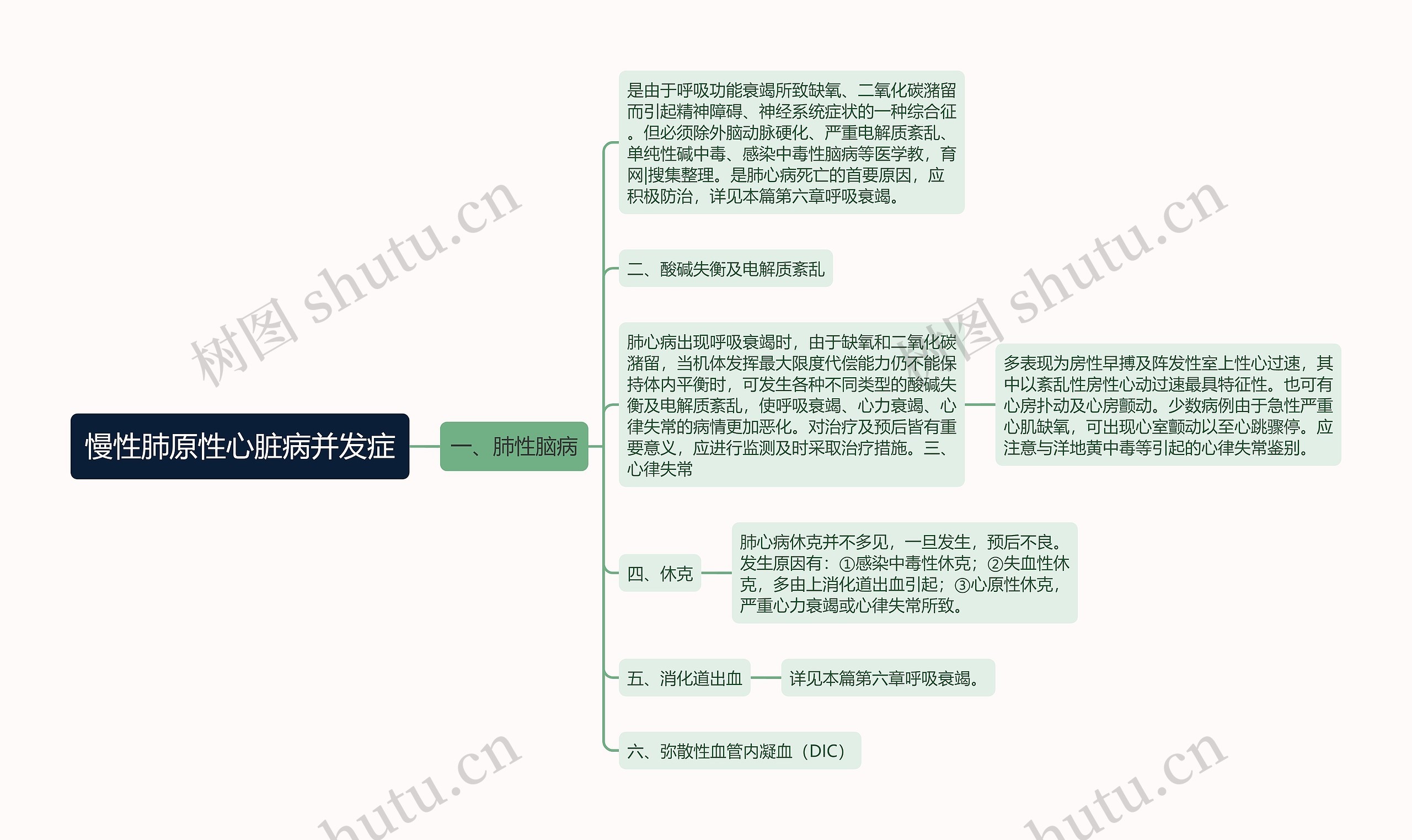 慢性肺原性心脏病并发症思维导图