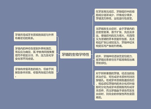 牙髓的生物学特性