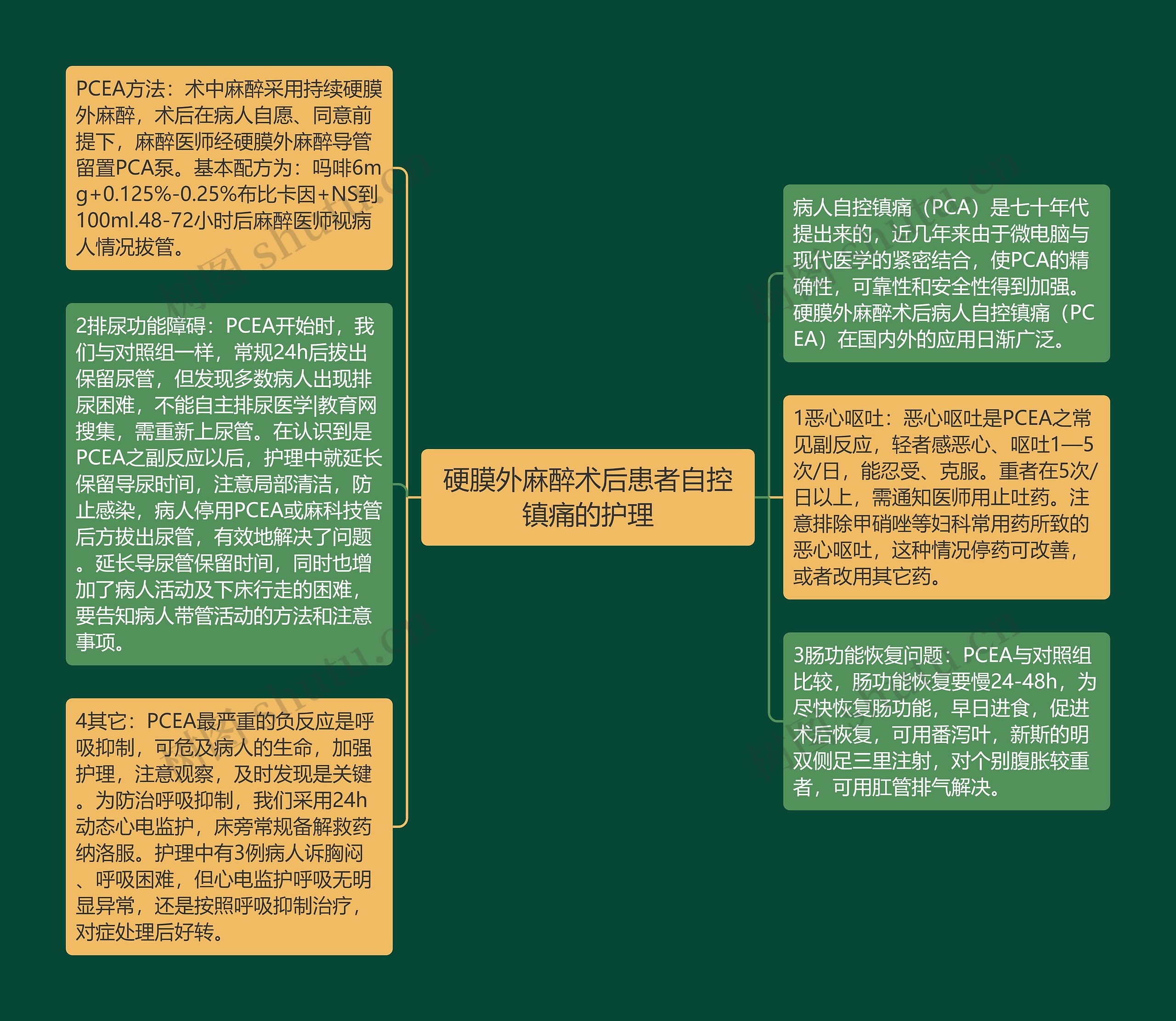 硬膜外麻醉术后患者自控镇痛的护理思维导图