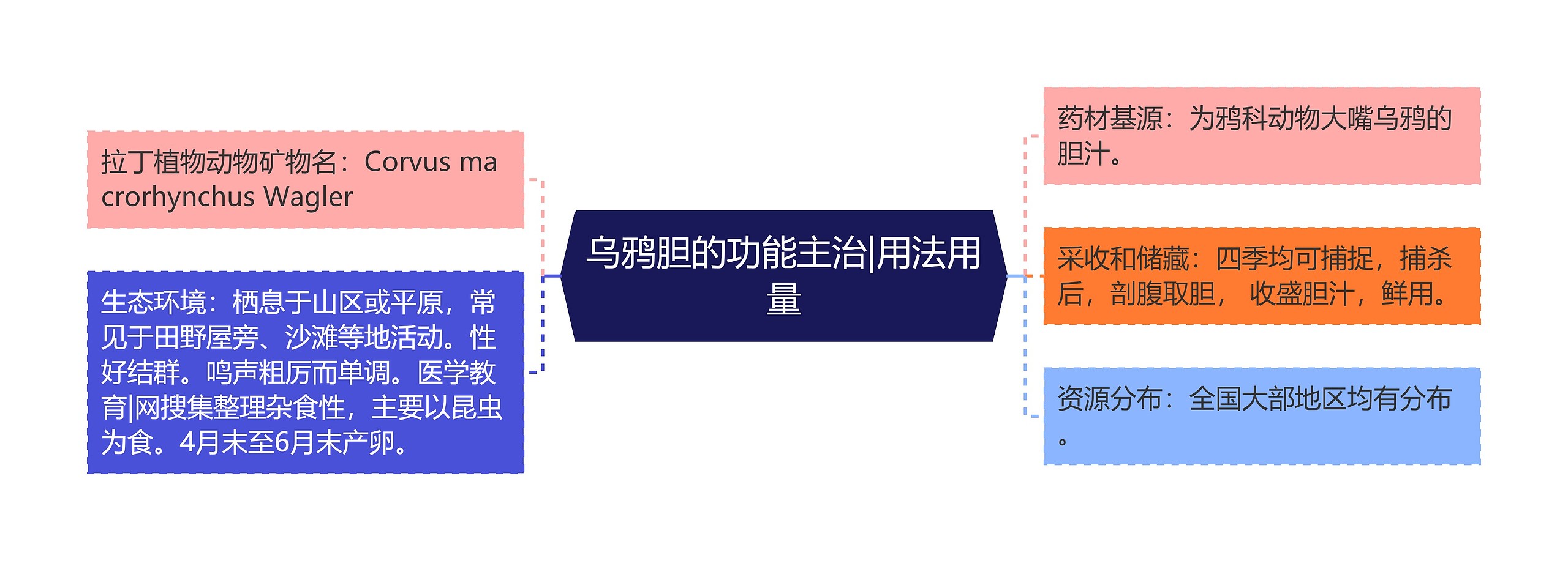 乌鸦胆的功能主治|用法用量 乌鸦胆的功能主治|用法用量