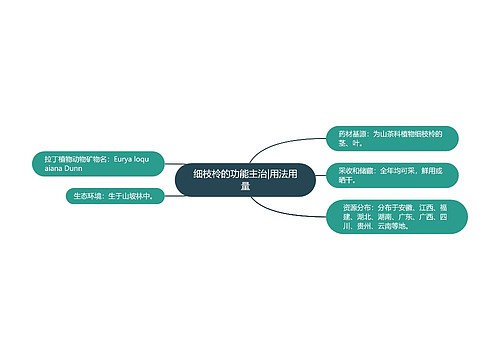 细枝柃的功能主治|用法用量