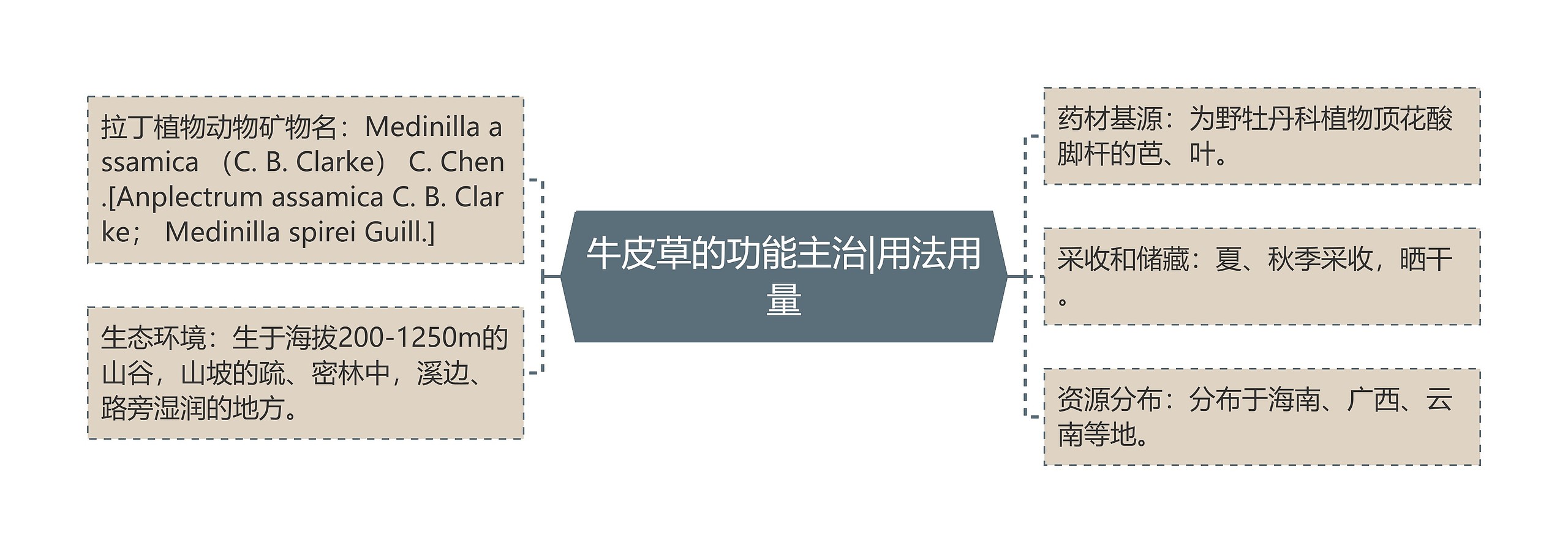 牛皮草的功能主治|用法用量 牛皮草的功能主治|用法用量