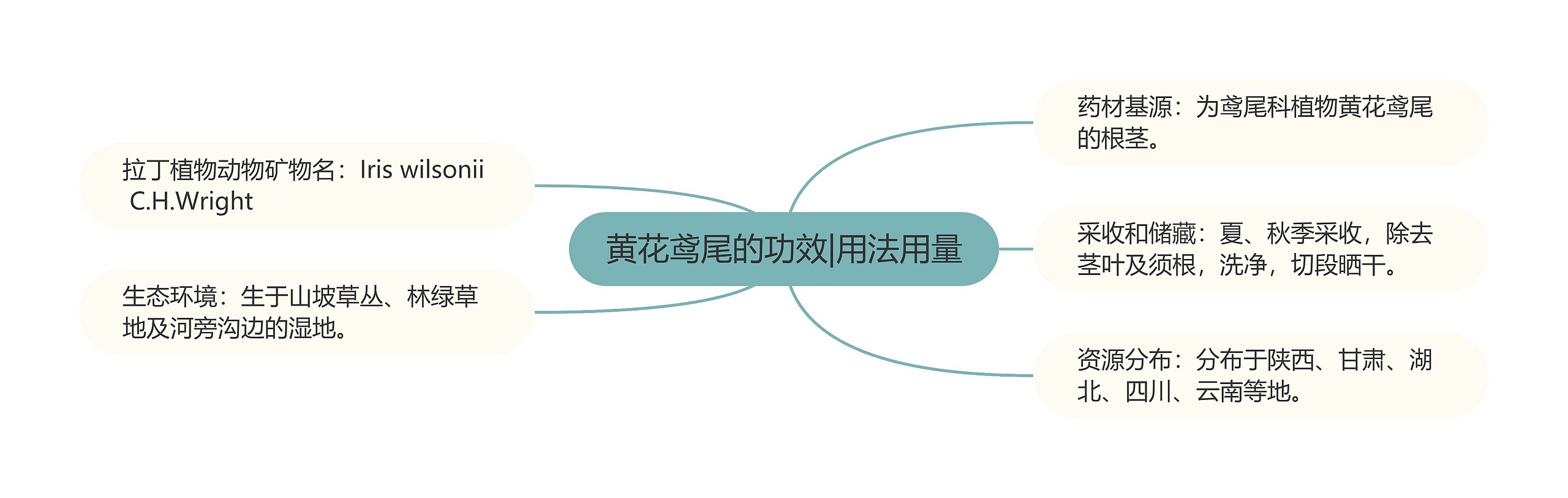 黄花鸢尾的功效|用法用量 黄花鸢尾的功效|用法用量