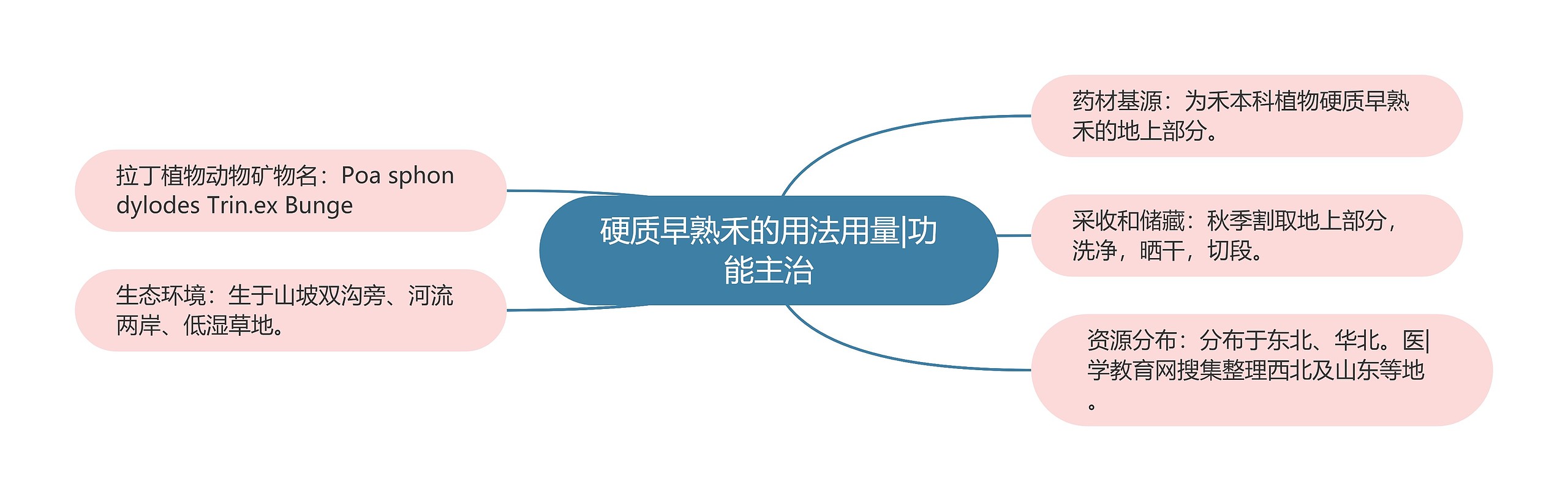 硬质早熟禾的用法用量|功能主治