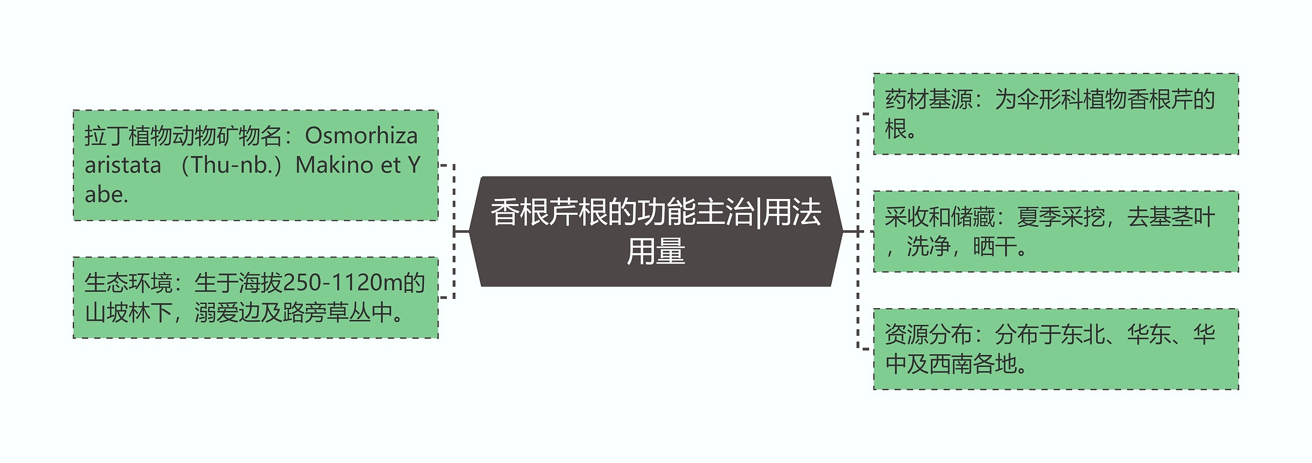 香根芹根的功能主治|用法用量 香根芹根的功能主治|用法用量