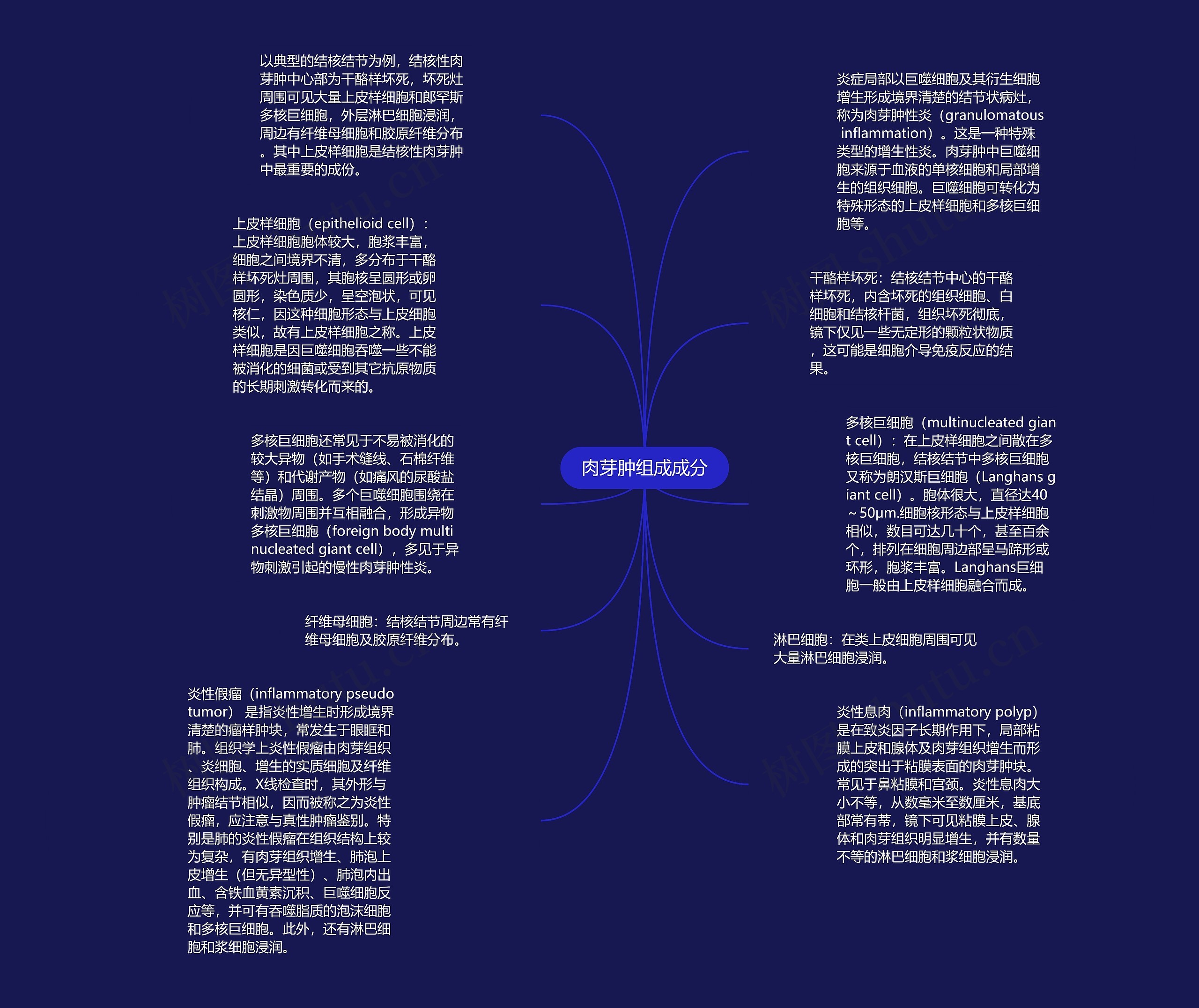 肉芽肿组成成分思维导图