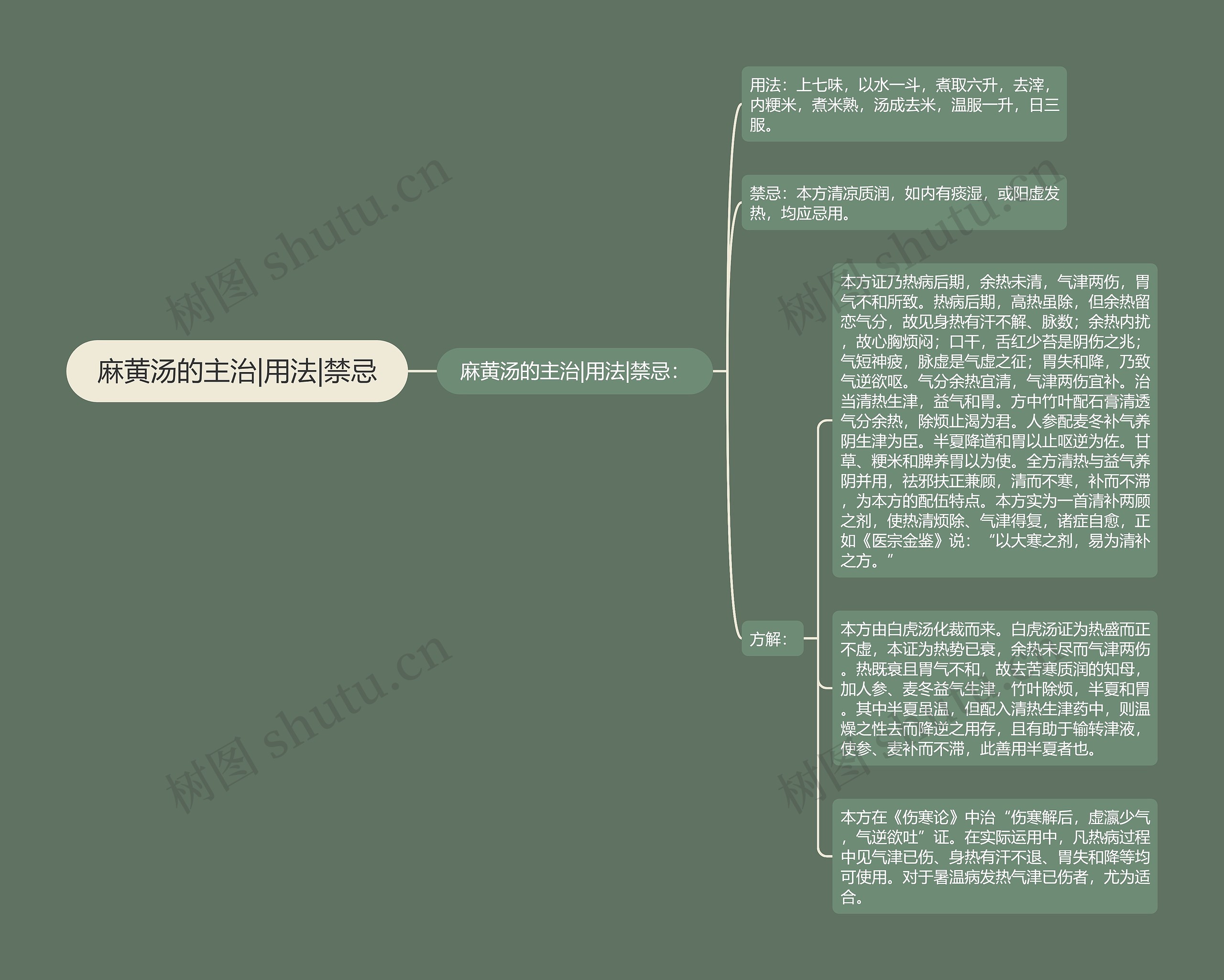 麻黄汤的主治|用法|禁忌思维导图