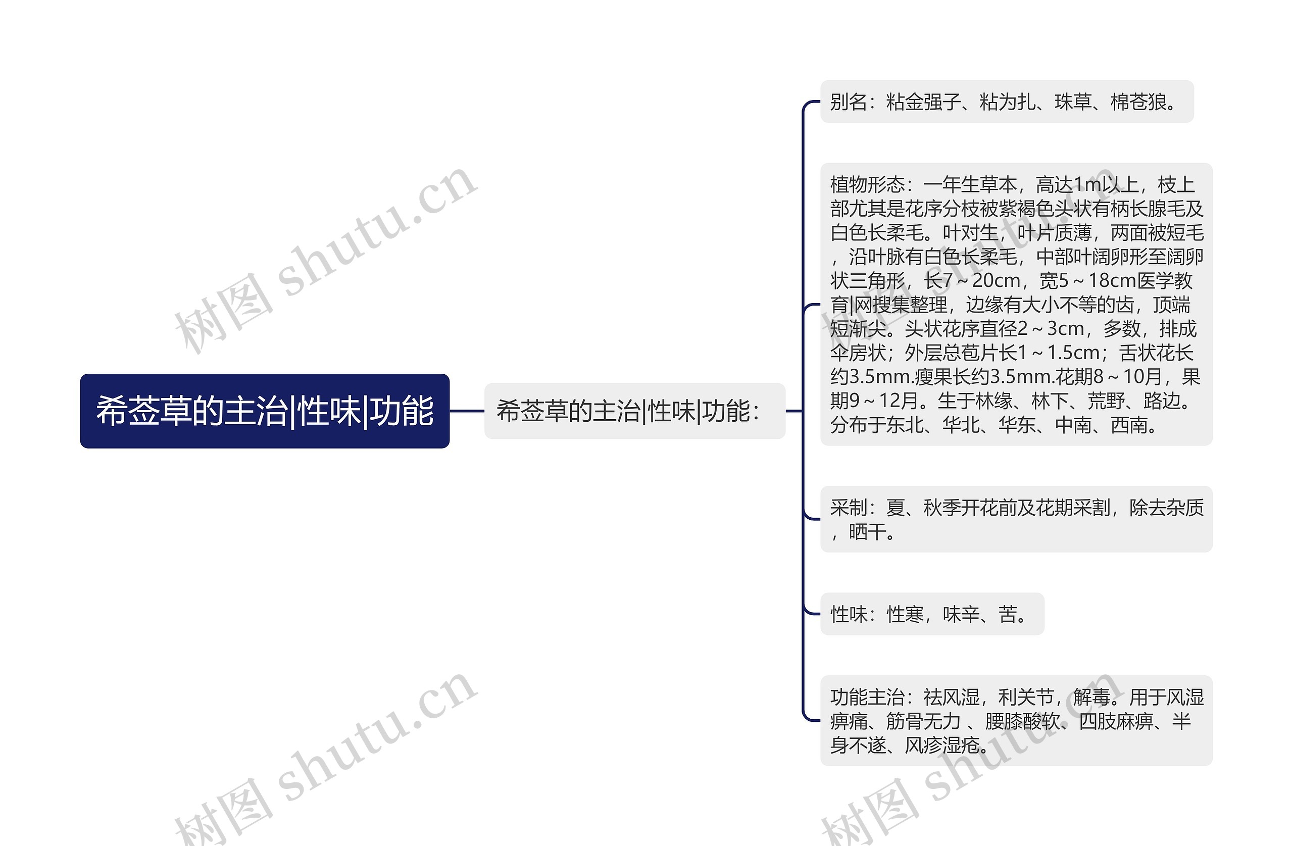 希莶草的主治|性味|功能思维导图