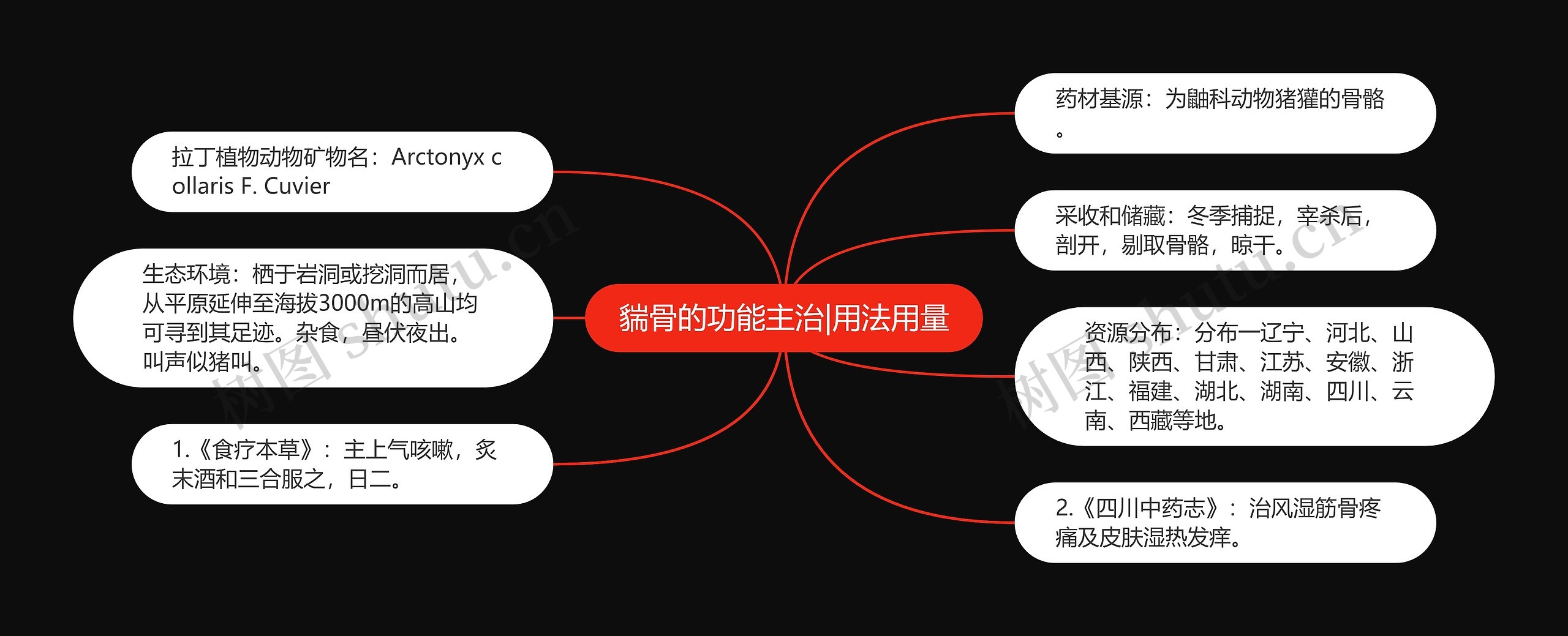 貒骨的功能主治|用法用量思维导图