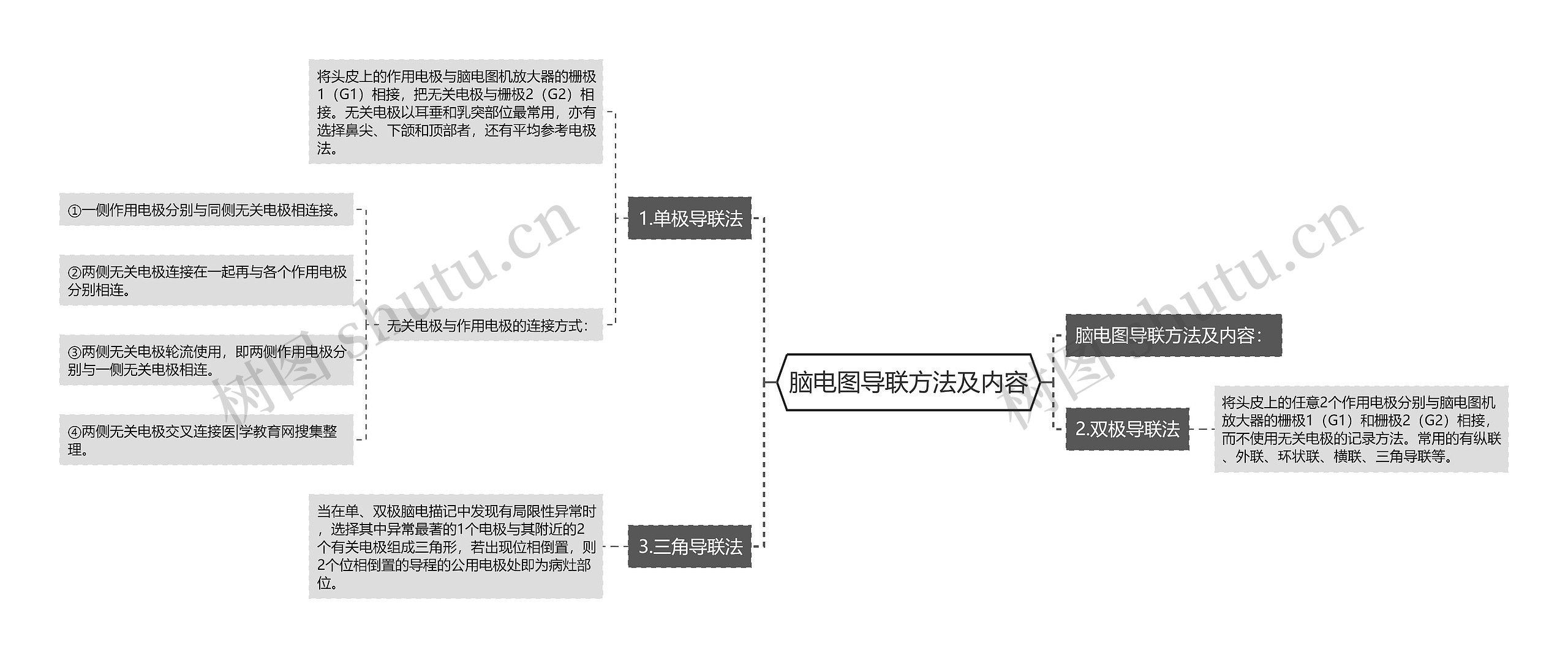 脑电图导联方法及内容