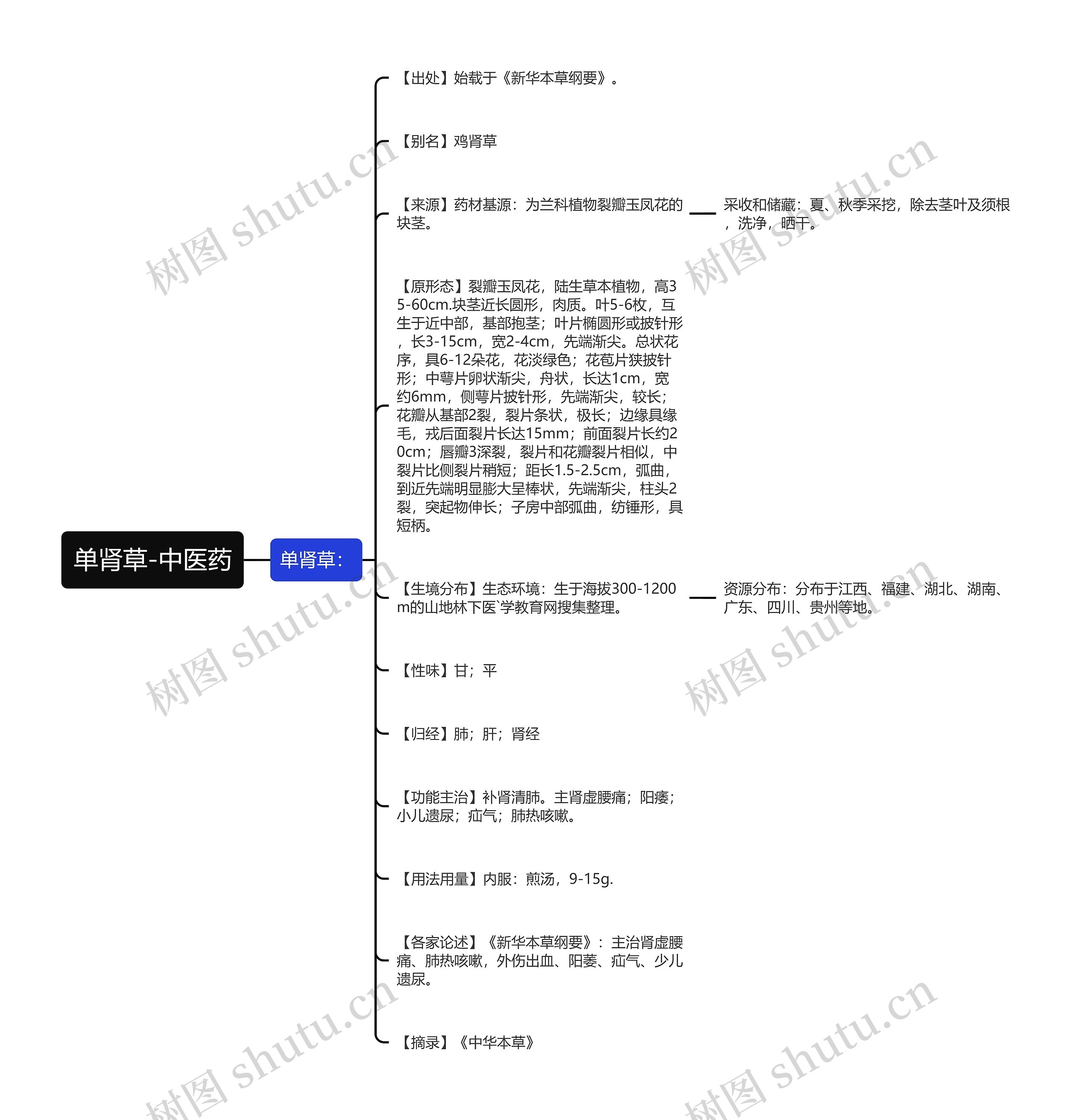 单肾草-中医药 单肾草-中医药