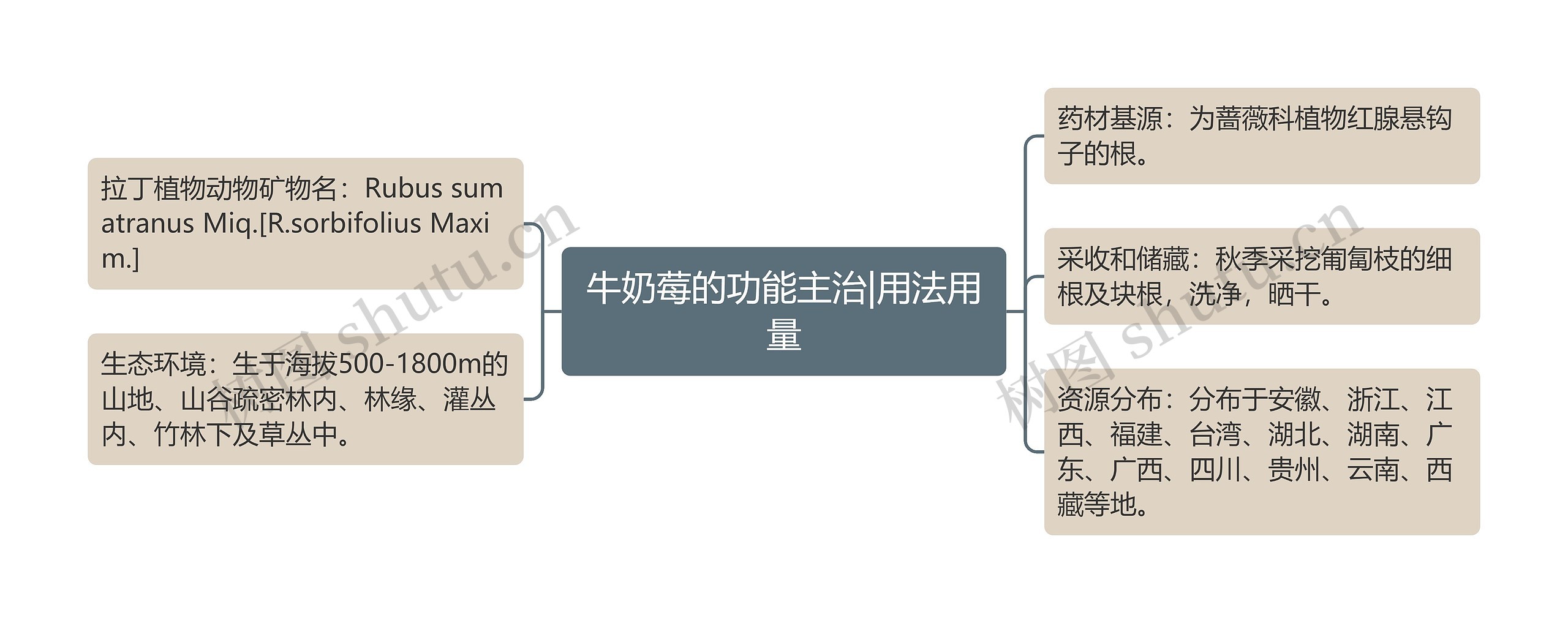 牛奶莓的功能主治|用法用量