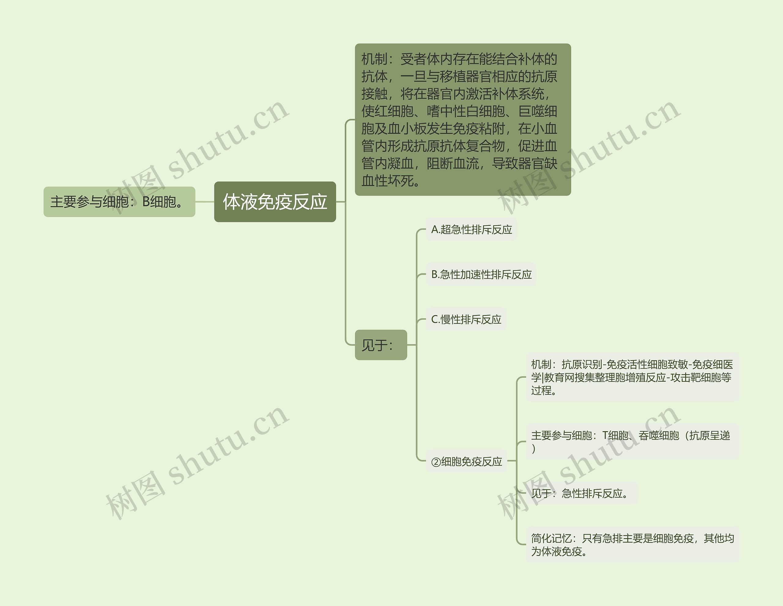 体液免疫反应思维导图