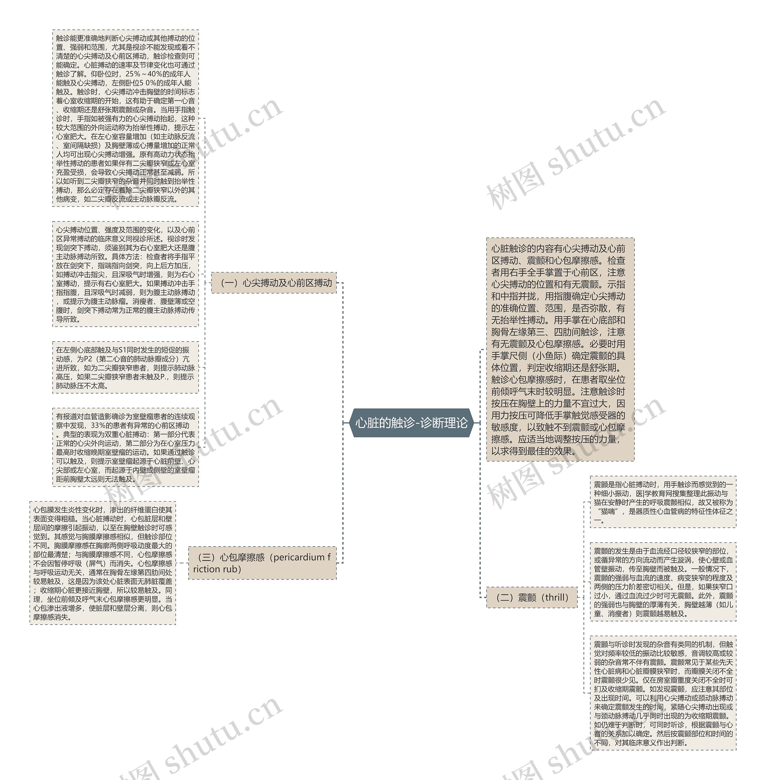 心脏的触诊-诊断理论