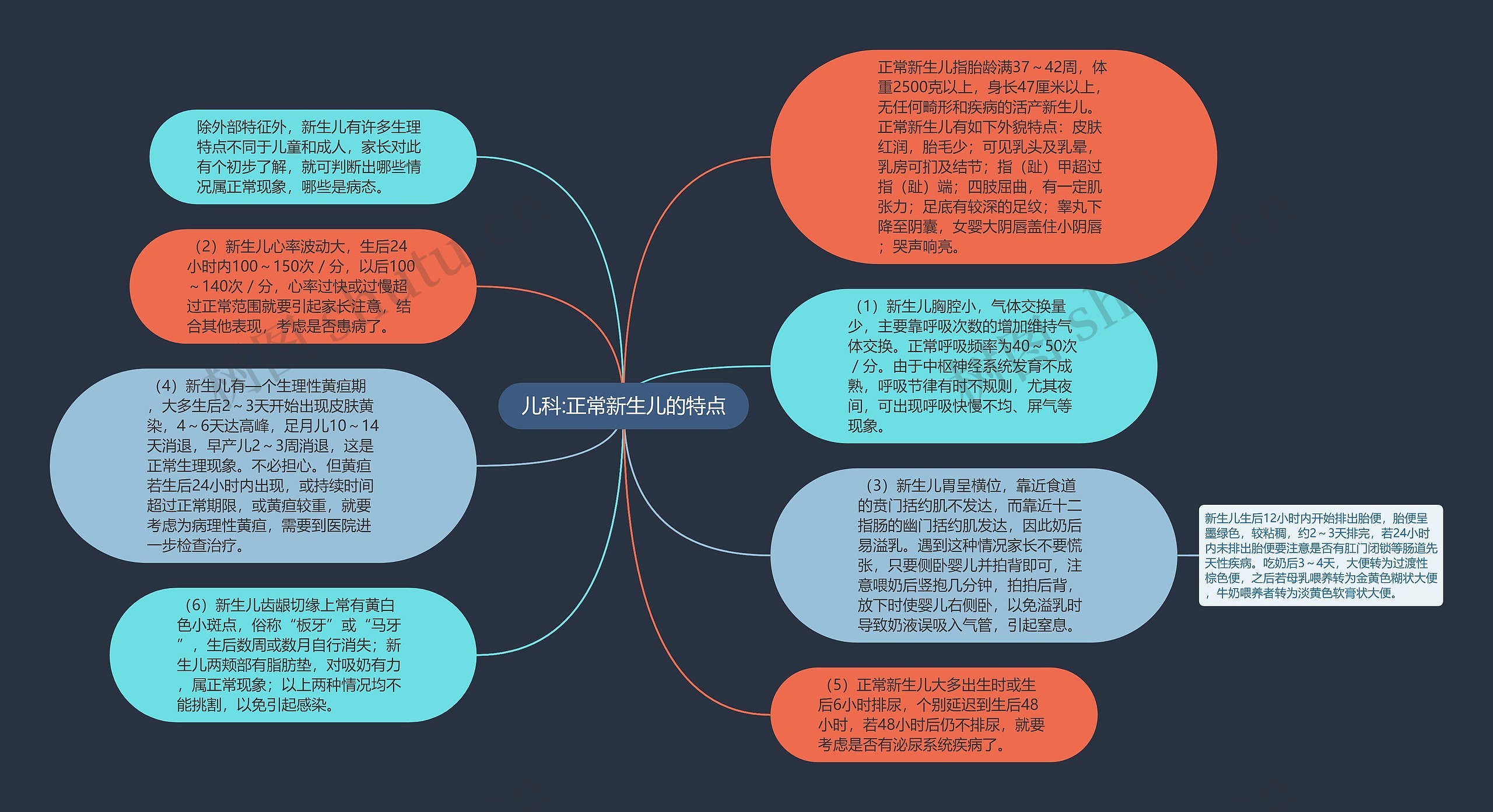 儿科:正常新生儿的特点思维导图