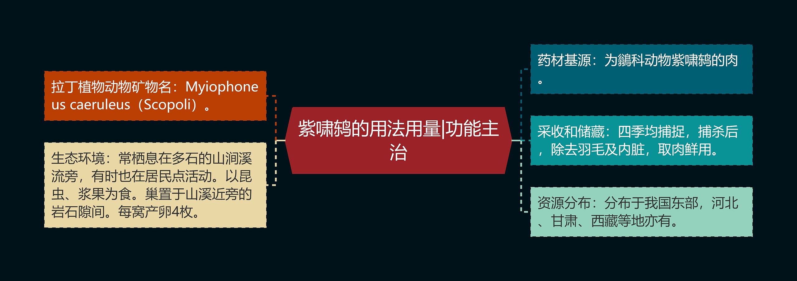 紫啸鸫的用法用量|功能主治 紫啸鸫的用法用量|功能主治
