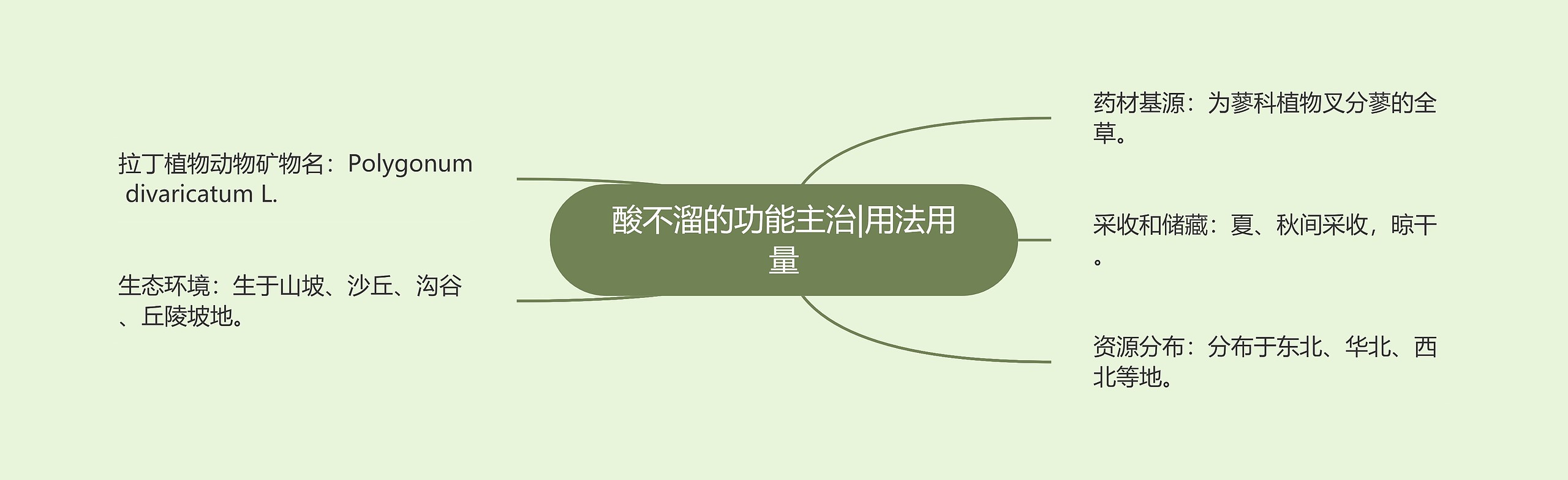 酸不溜的功能主治|用法用量思维导图