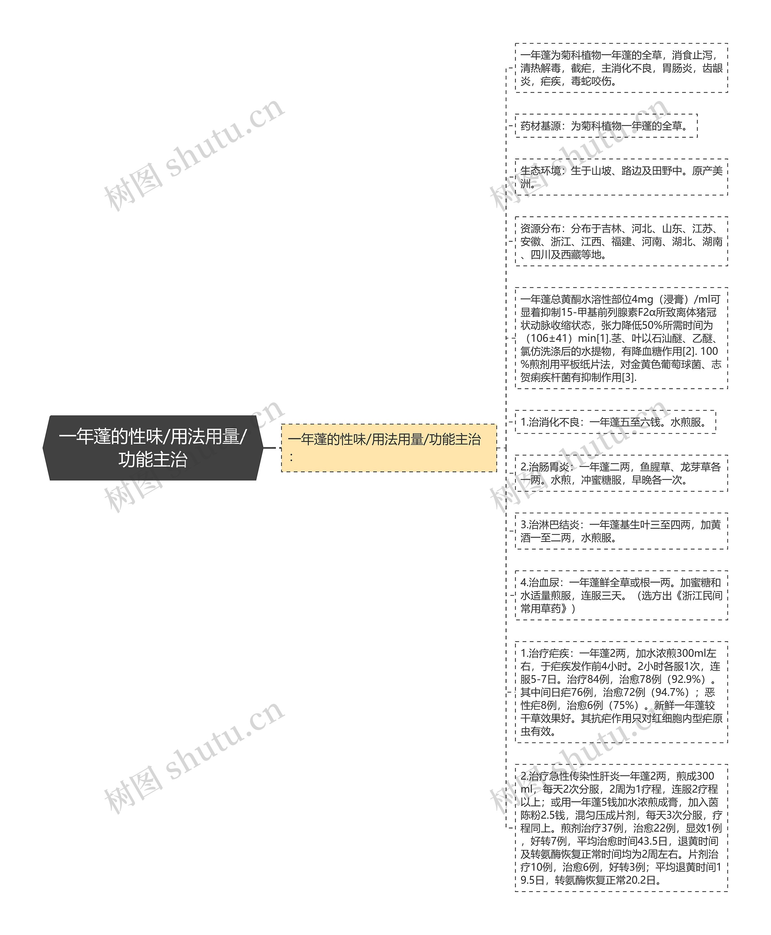 一年蓬的性味/用法用量/功能主治
