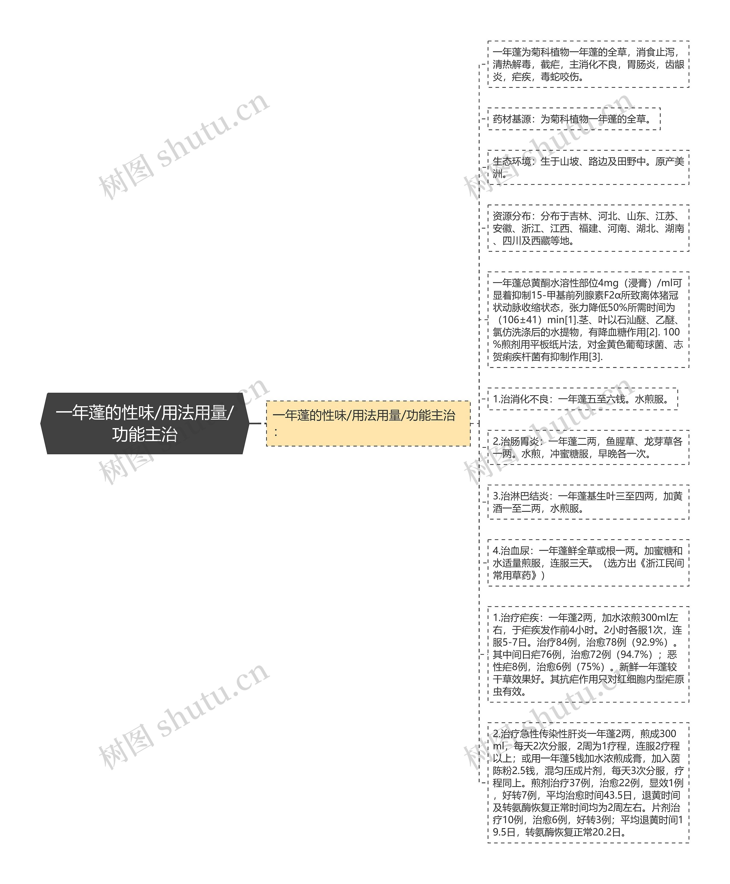 一年蓬的性味/用法用量/功能主治思维导图