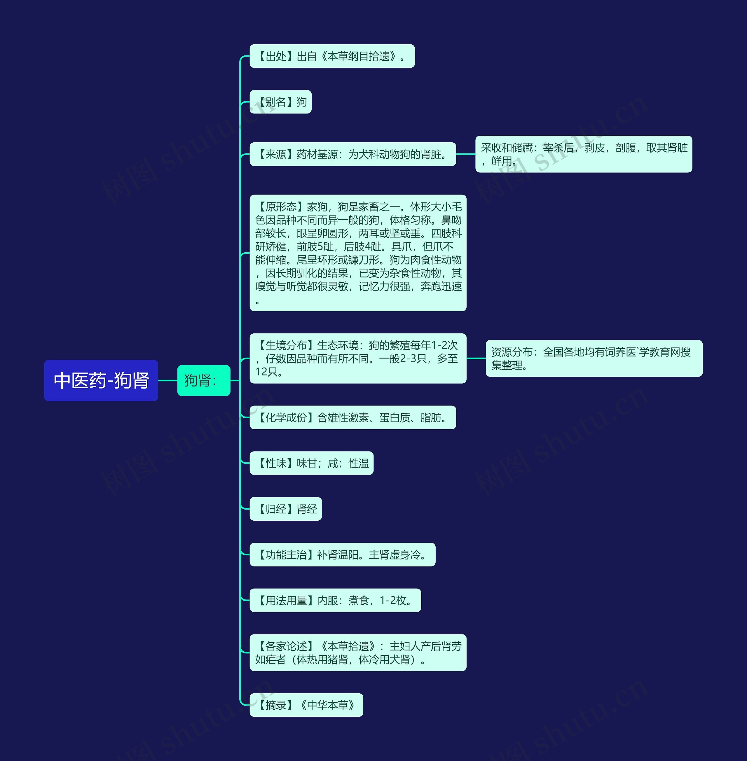 中医药-狗肾 中医药-狗肾