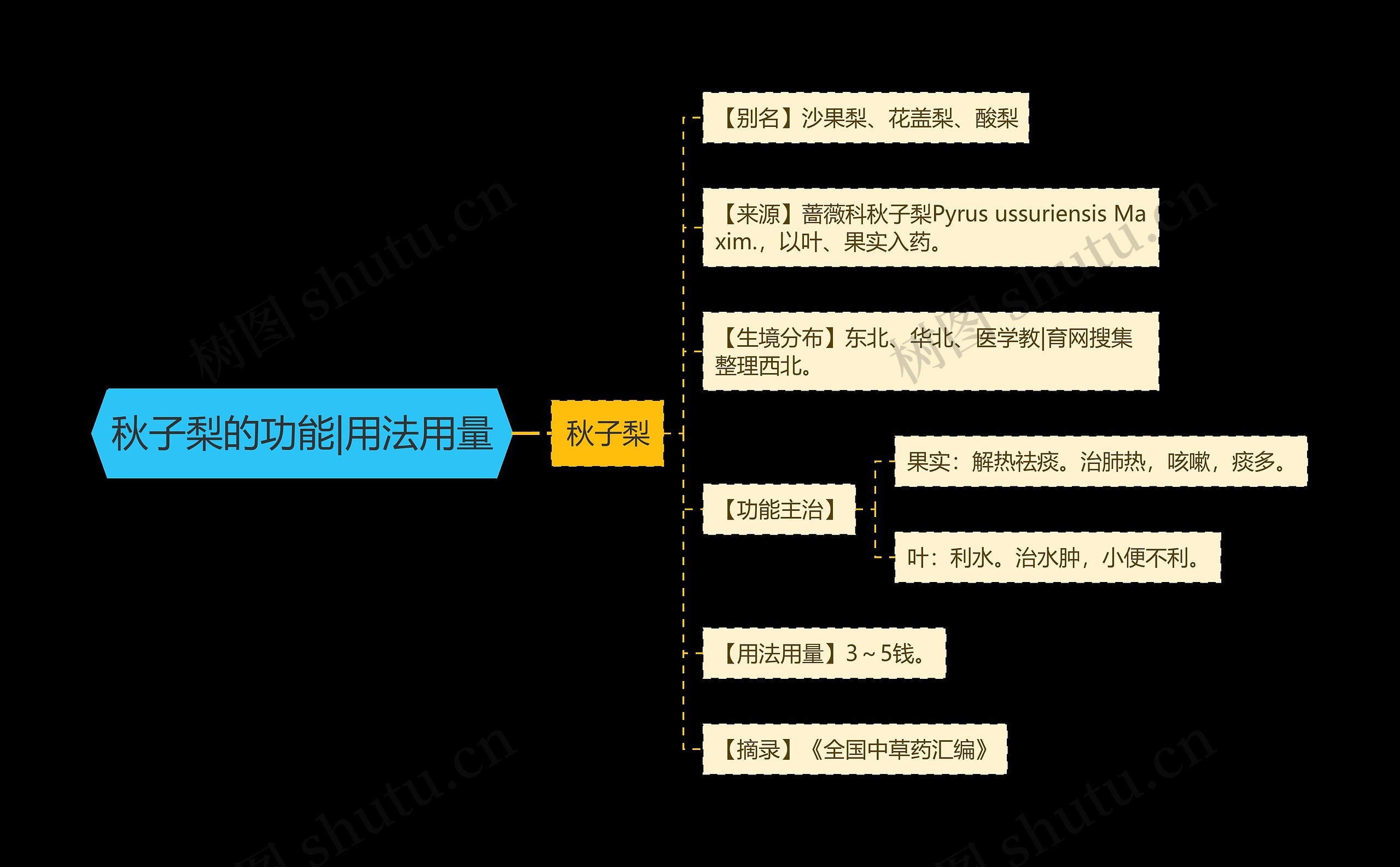 秋子梨的功能|用法用量思维导图