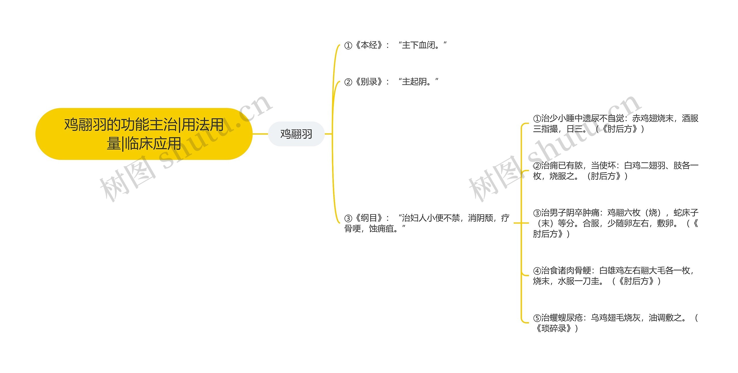 鸡翮羽的功能主治|用法用量|临床应用思维导图