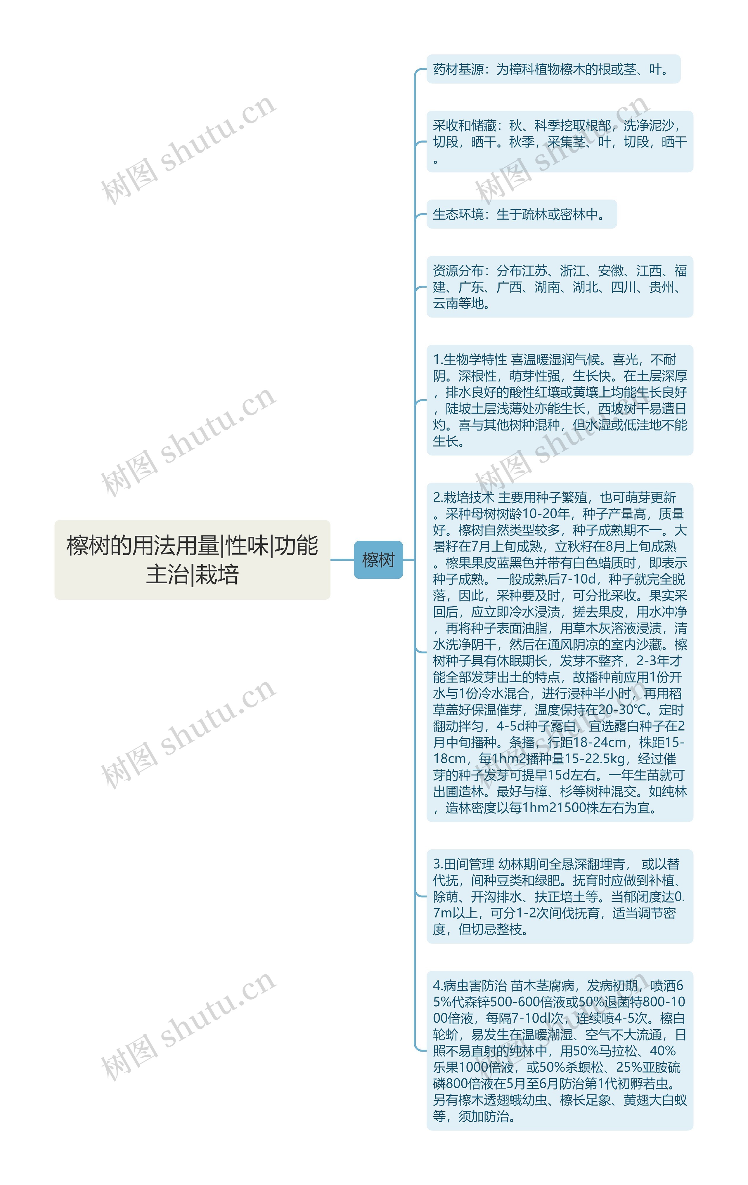 檫树的用法用量|性味|功能主治|栽培思维导图