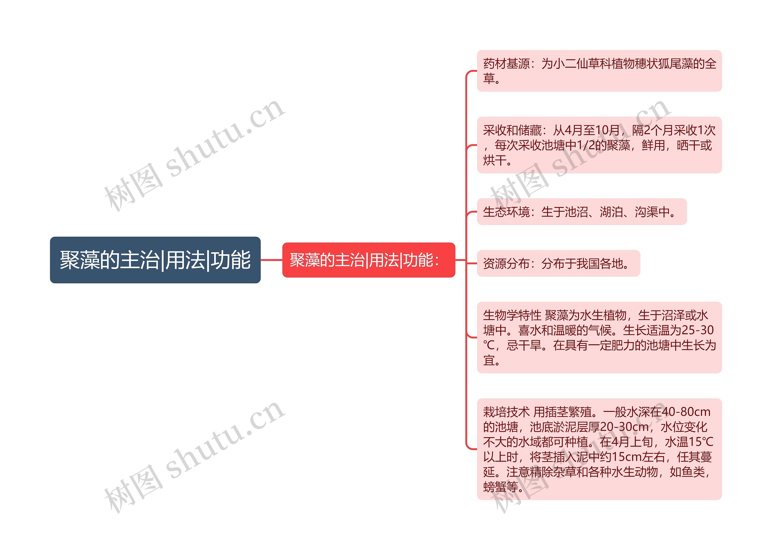 聚藻的主治|用法|功能思维导图