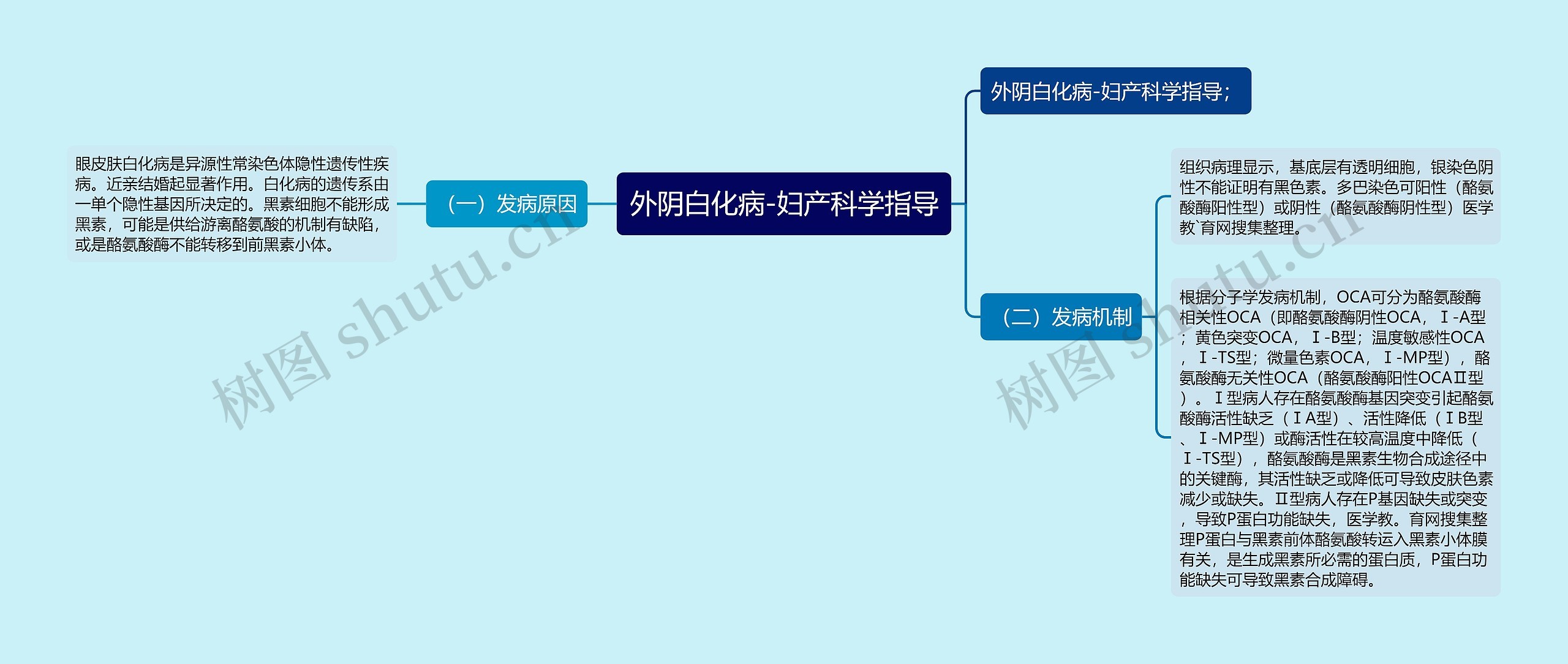 外阴白化病-妇产科学指导