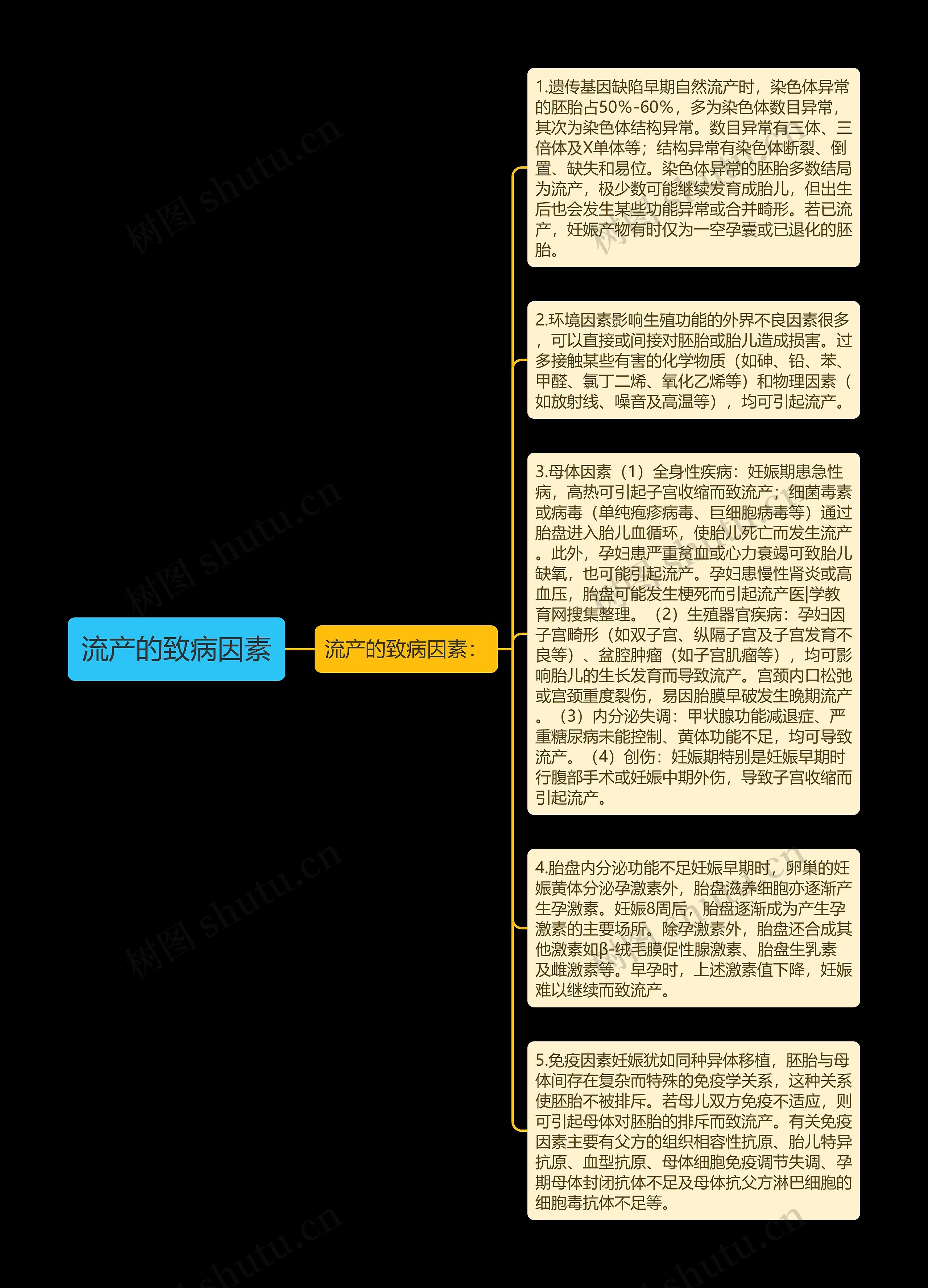 流产的致病因素