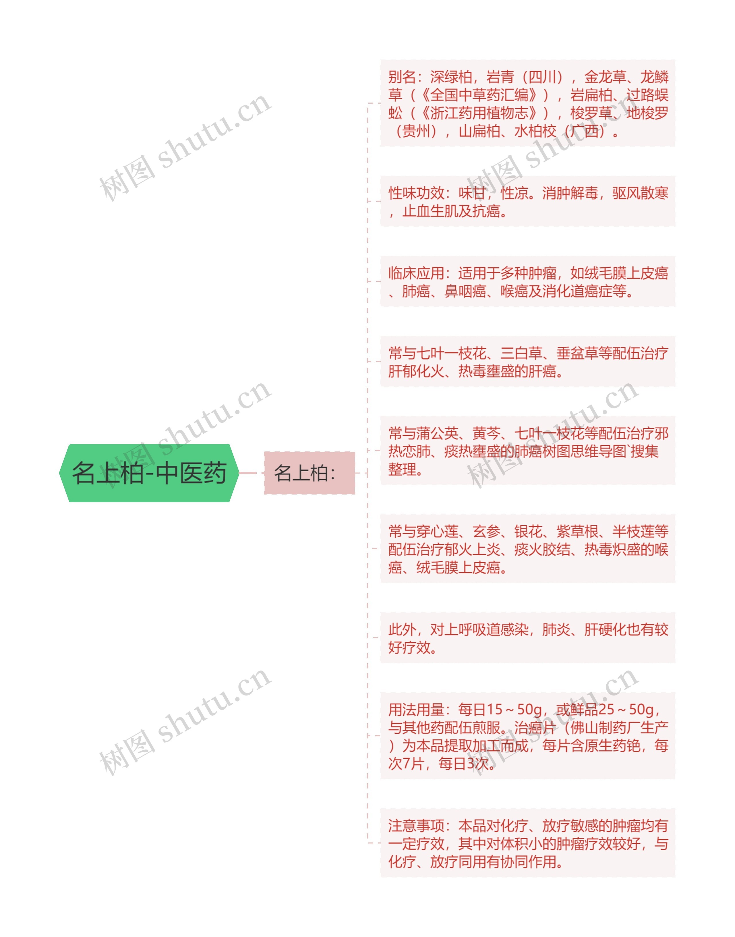 名上柏-中医药思维导图